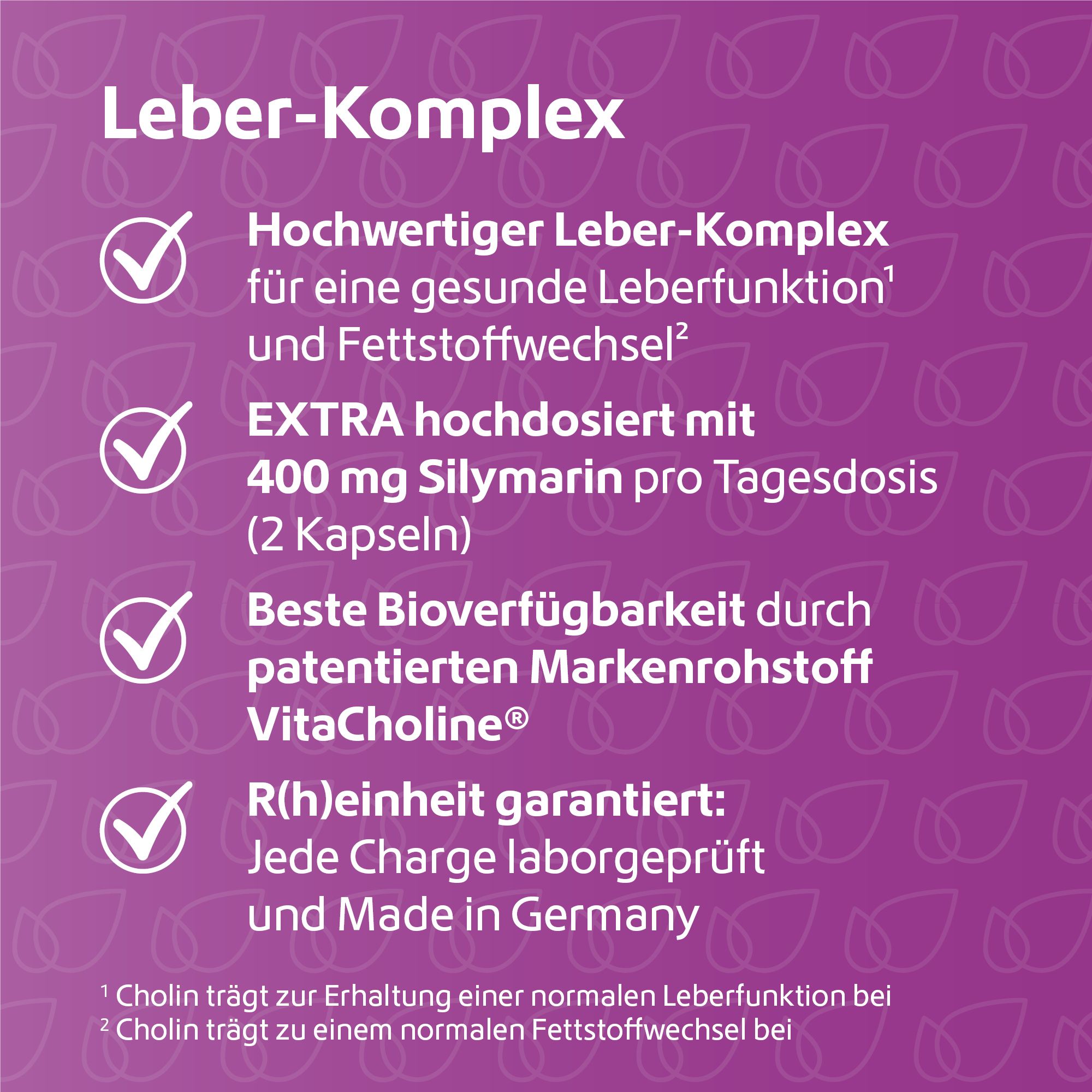 Leber Komplex Mariendistel + Artischocke + Cholin vegan R(h)ein Nutrition