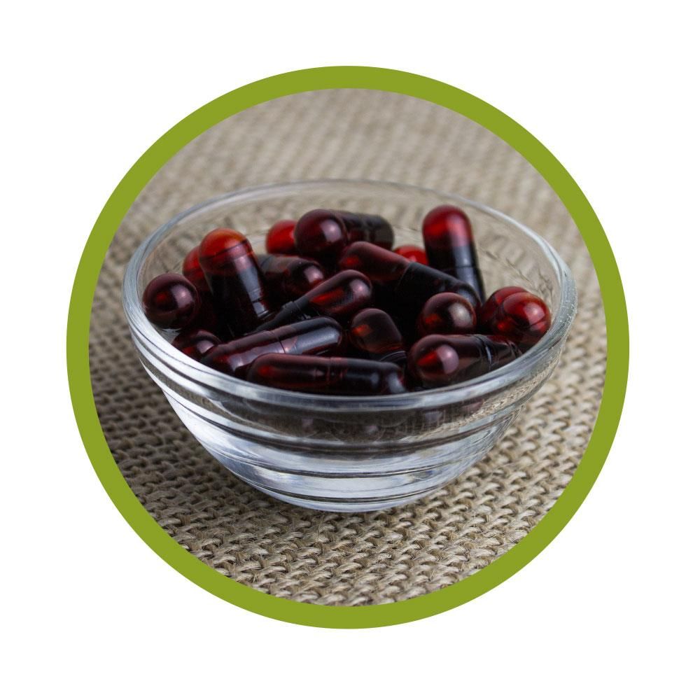 vitalundfitmit100® Bio Astaxanthin Kapseln