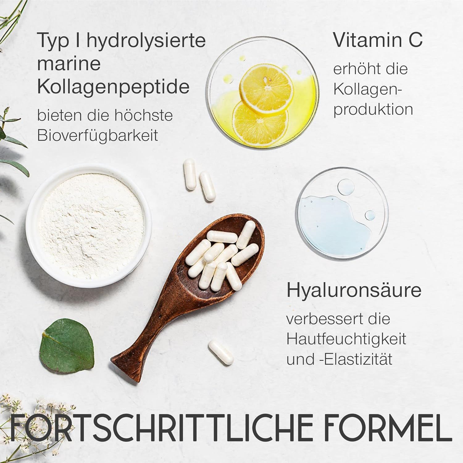 Zutaten: Typ I hydrolysierte marine Kollagenpeptide, Vitamin C, Hyaluronsäure. Kapseln, Pulver und Zitrone in Schalen. Text: Fortschrittliche Formel.