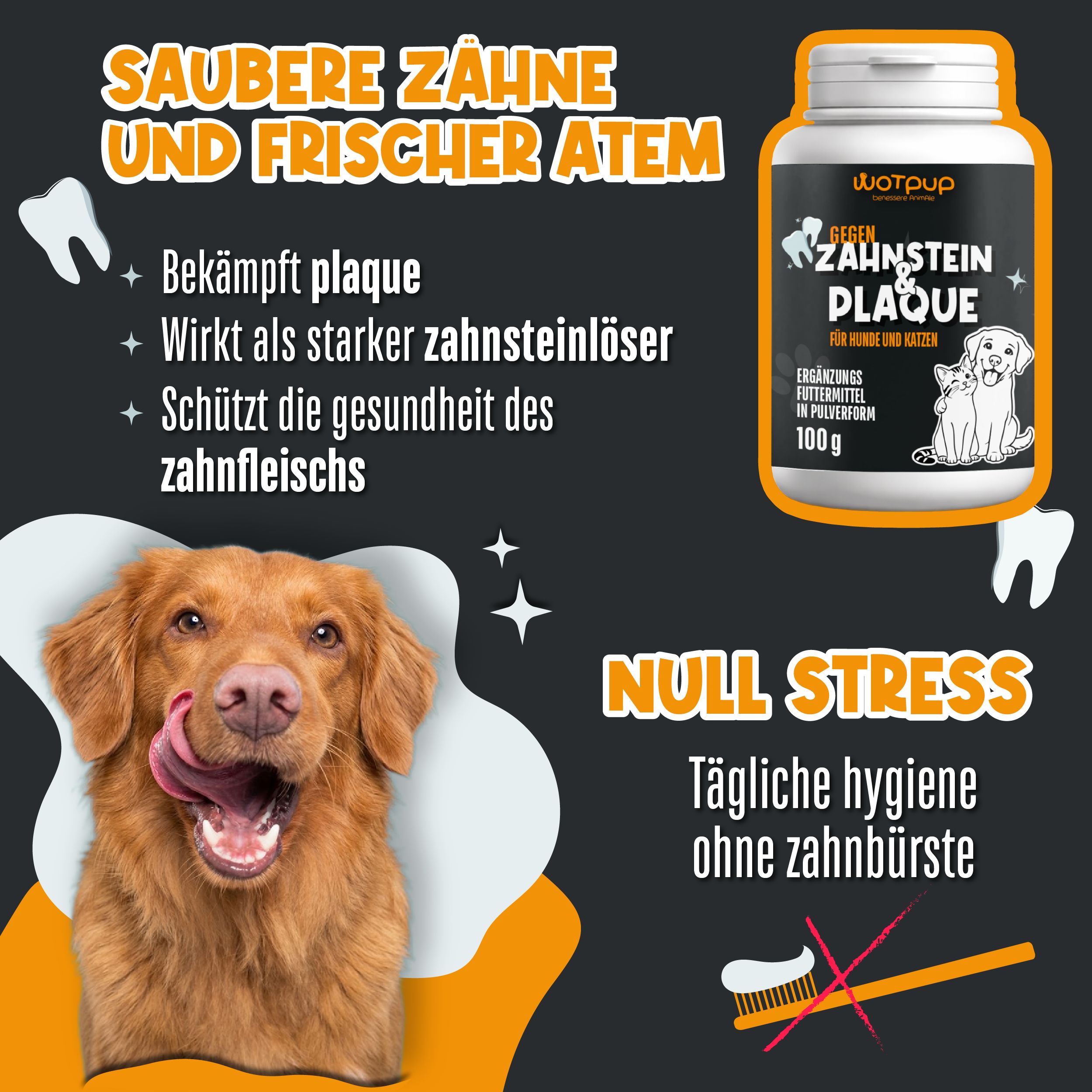Hund leckt sich die Lippen vor einem Behälter mit Zahnpulver und einer Zahnbürste mit Kreuz.