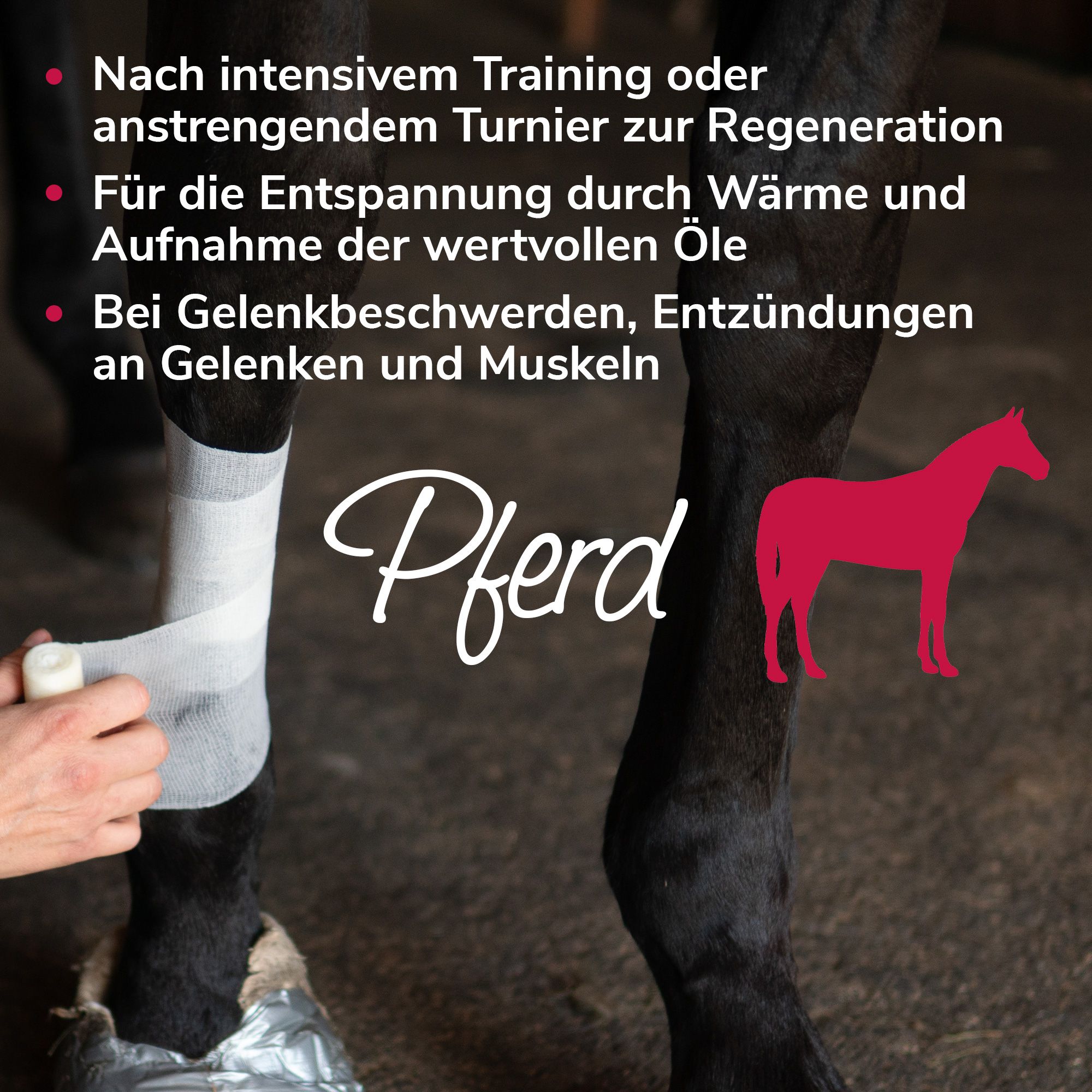 Hände wickeln einen Verband um das Bein eines Pferdes. Text: Anwendungbeispiel Pferd.