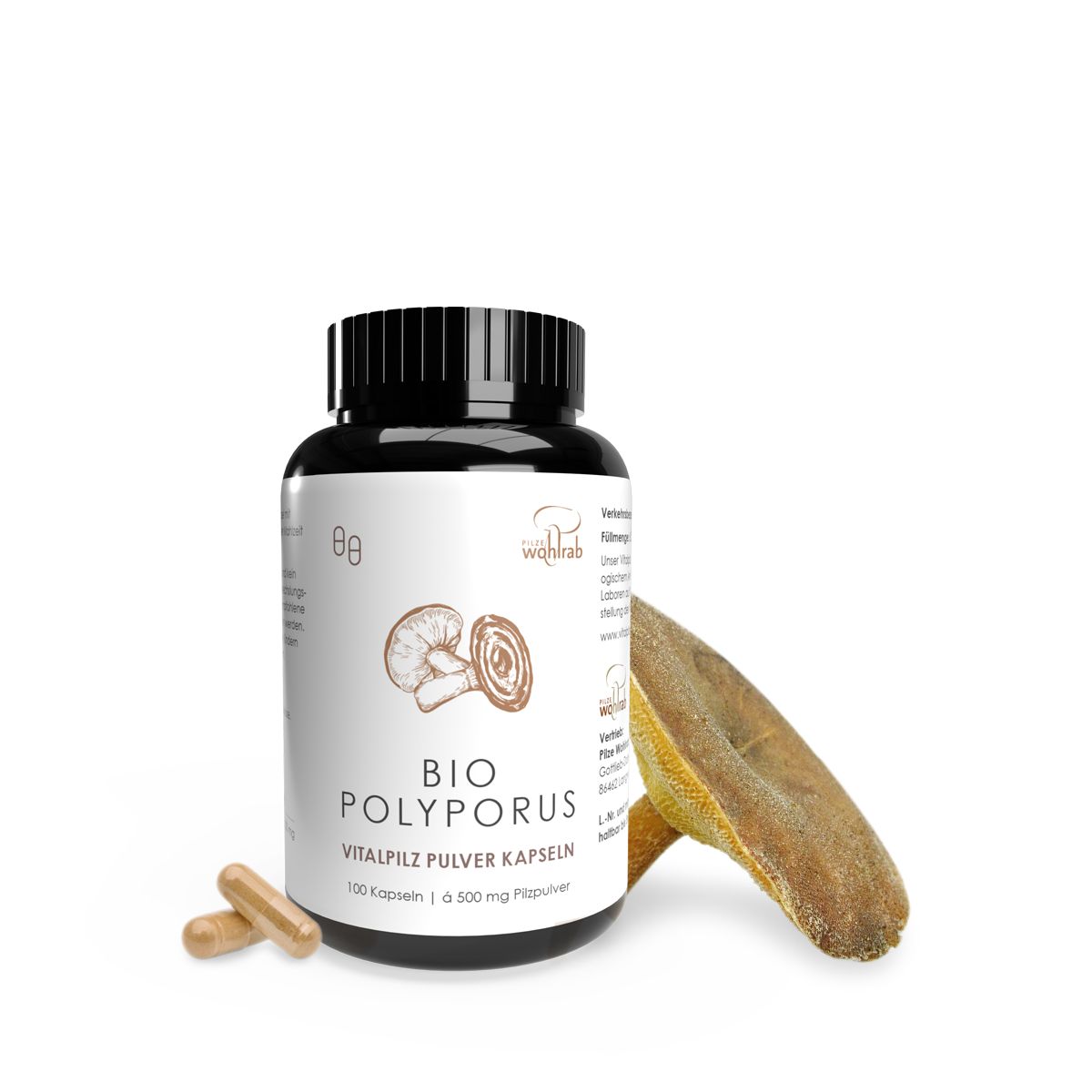 Braune Flasche mit schwarzen Deckel. Aufschrift: BIO POLYPORUS Vitalpilz Pulverkapseln. Getrockneter Pilz daneben.