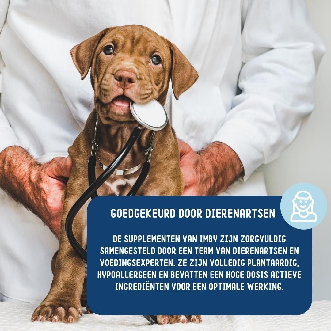 Imby Probiotics - Prä-, Pro- und Postbiotika-Kausnacks für den Hundemagen