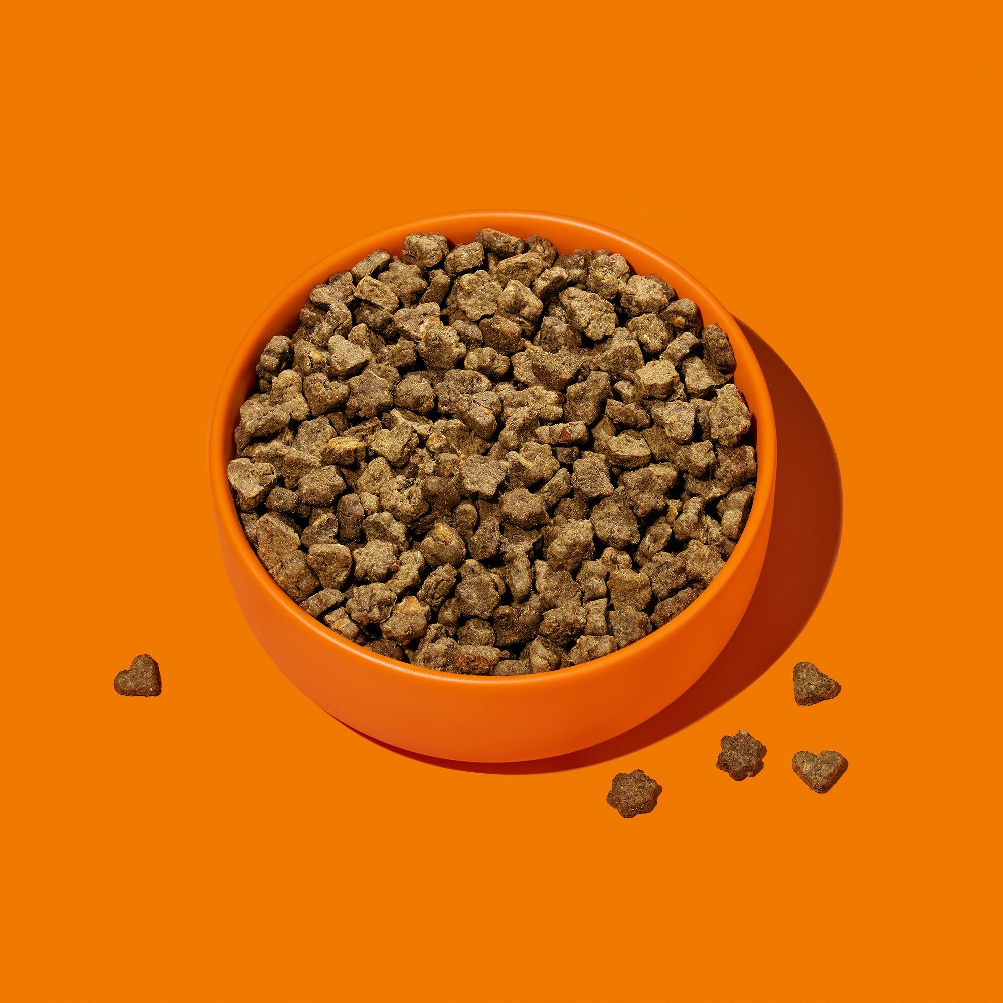 Orangefarbene Schüssel mit Trockenfutter-Kroketten. Einige Kroketten liegen daneben. Hintergrund orange.