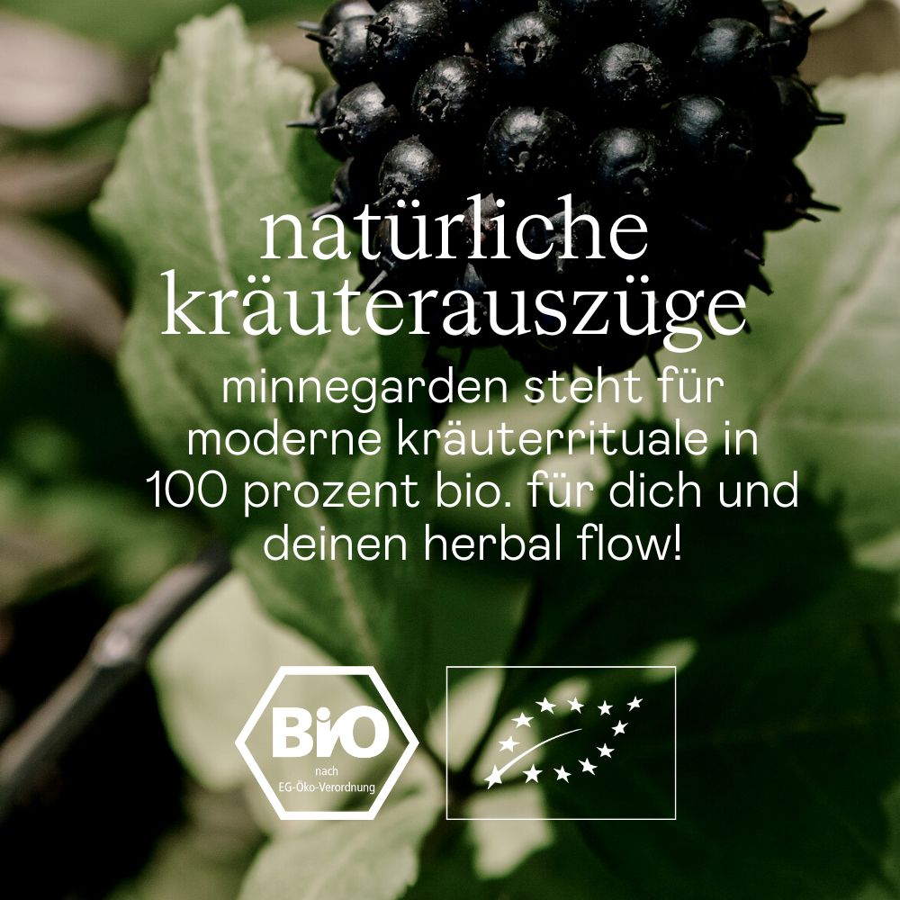 minnegarden Bio Oxymel Strong Morning - exotischer Kräuterauszug