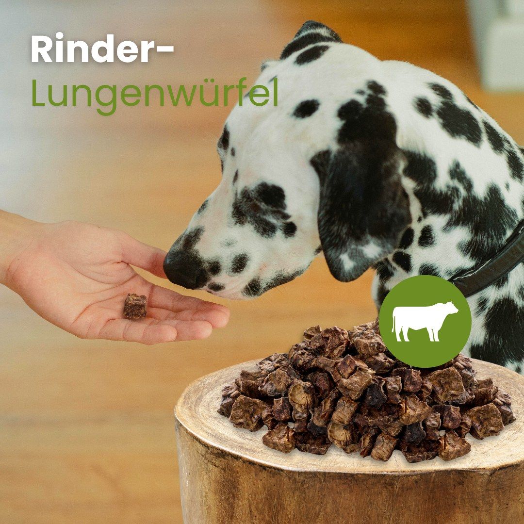 Hundefutter-Leckerlis, kleine, dunkle, getrocknete Stücke mit Wasserzeichen.