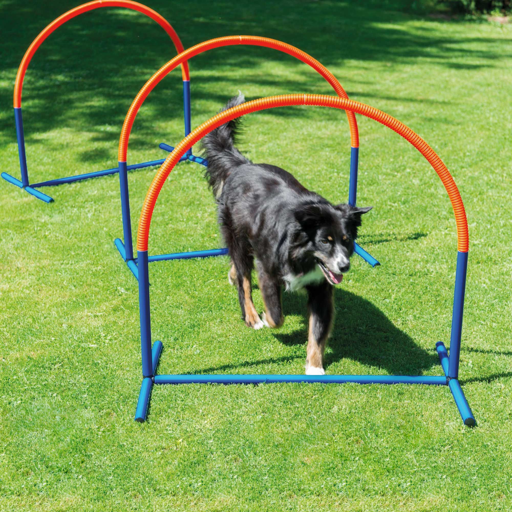 Hoopers Hunde Agility Bogen - ca. 100x90 cm (BxH) aus wetterfestem Kunststoff