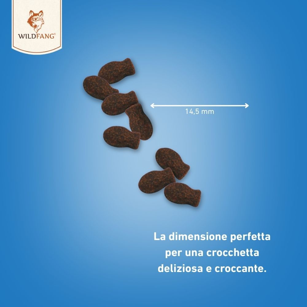 Nahaufnahme von braunen, fischförmigen Snacks. Ein Pfeil zeigt die Größe von 14,5 mm an. Text: Die perfekte Größe für einen köstlichen, knusprigen Snack.