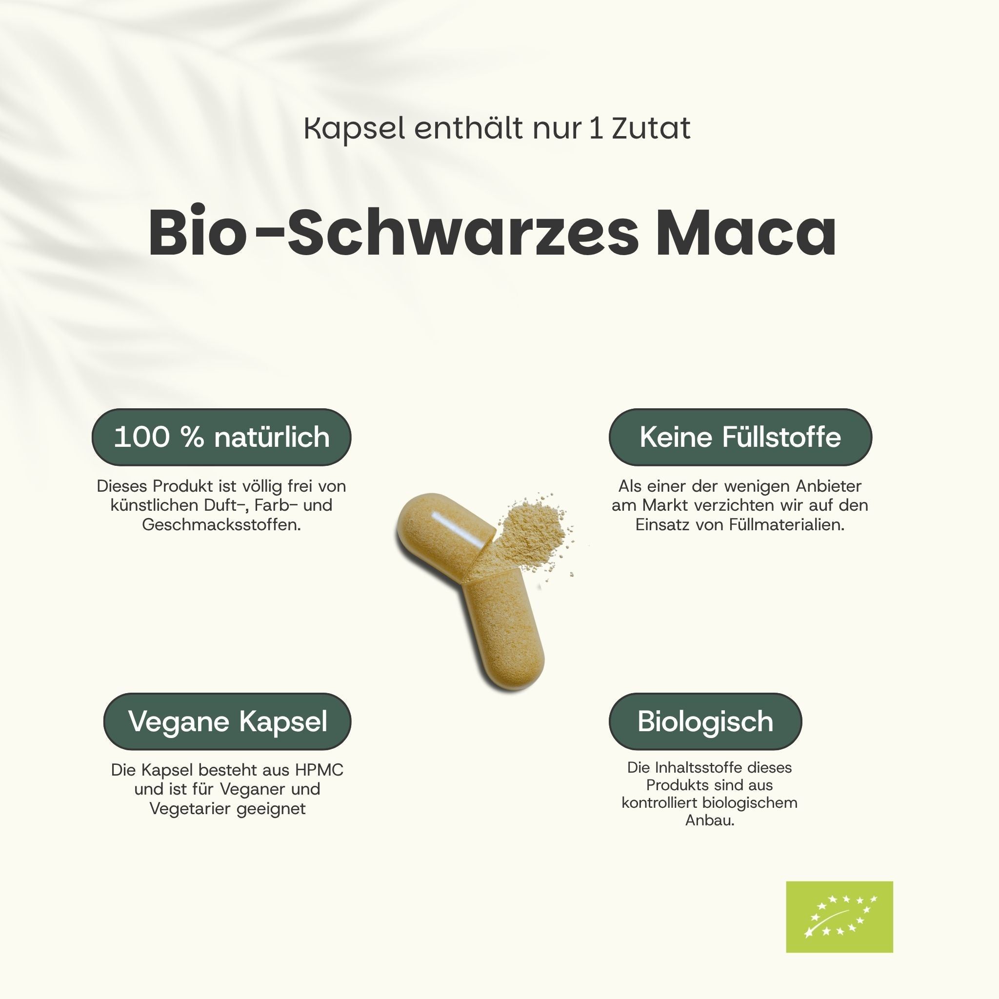 Kapsel mit Pulver. Aufschrift: Bio-Schwarzes Maca. 100% natürlich, keine Füllstoffe, vegane Kapsel, biologisch.