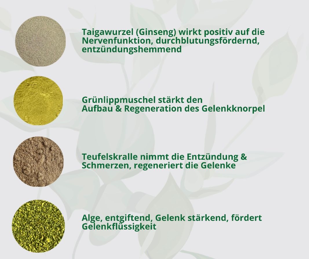 Hand aufs Pferd/Hund Arthrose Kräuter Laufspaß