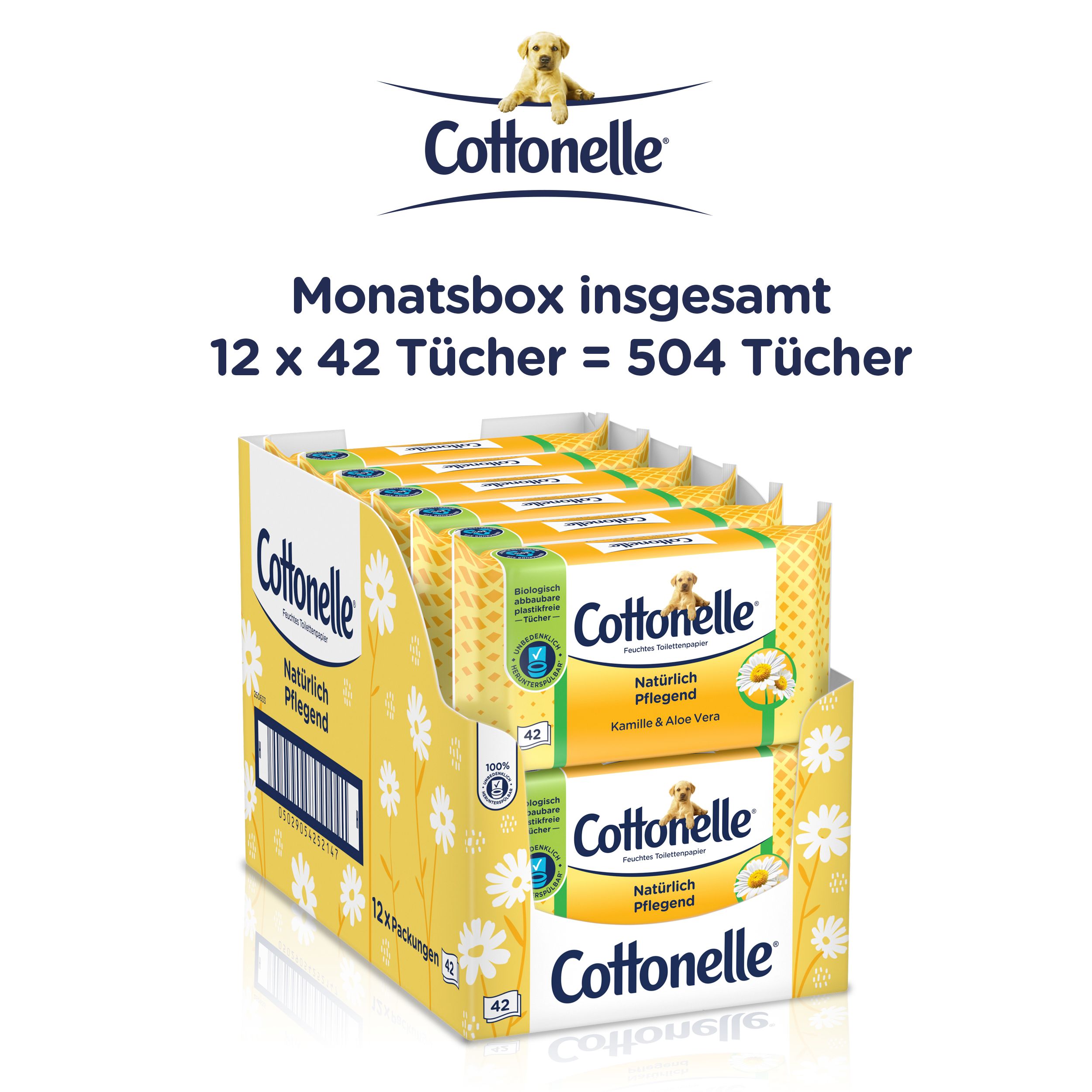 Cottonelle Feuchtes Toilettenpapier. Monatsbox mit 12 Packungen à 42 Tücher. Insgesamt 504 Tücher. Kamille & Aloe Vera.