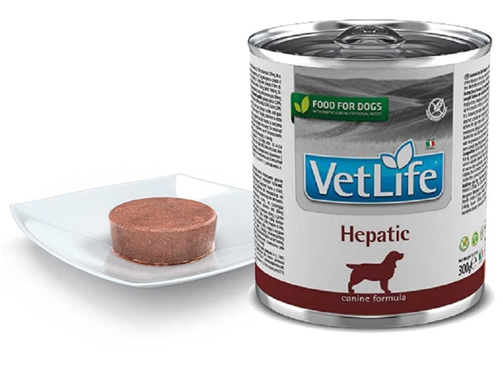 Hundefutterdose neben einem Stück Futter auf einem Teller. Aufschrift: VetLife Hepatic. Logo: Hund. Text: Food for dogs.
