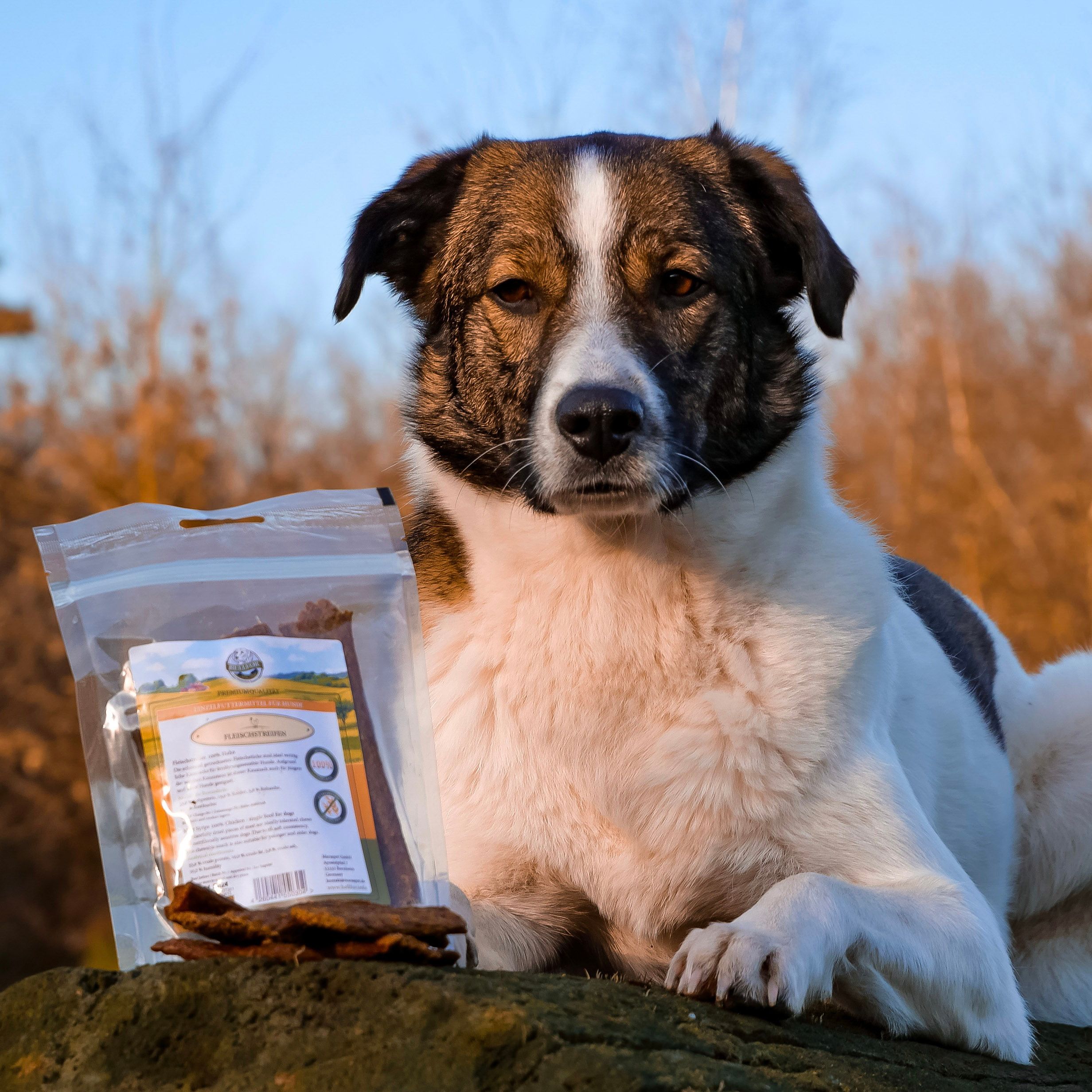 Bellfor Gesunder Hundesnack - Hühner Trockenfleisch