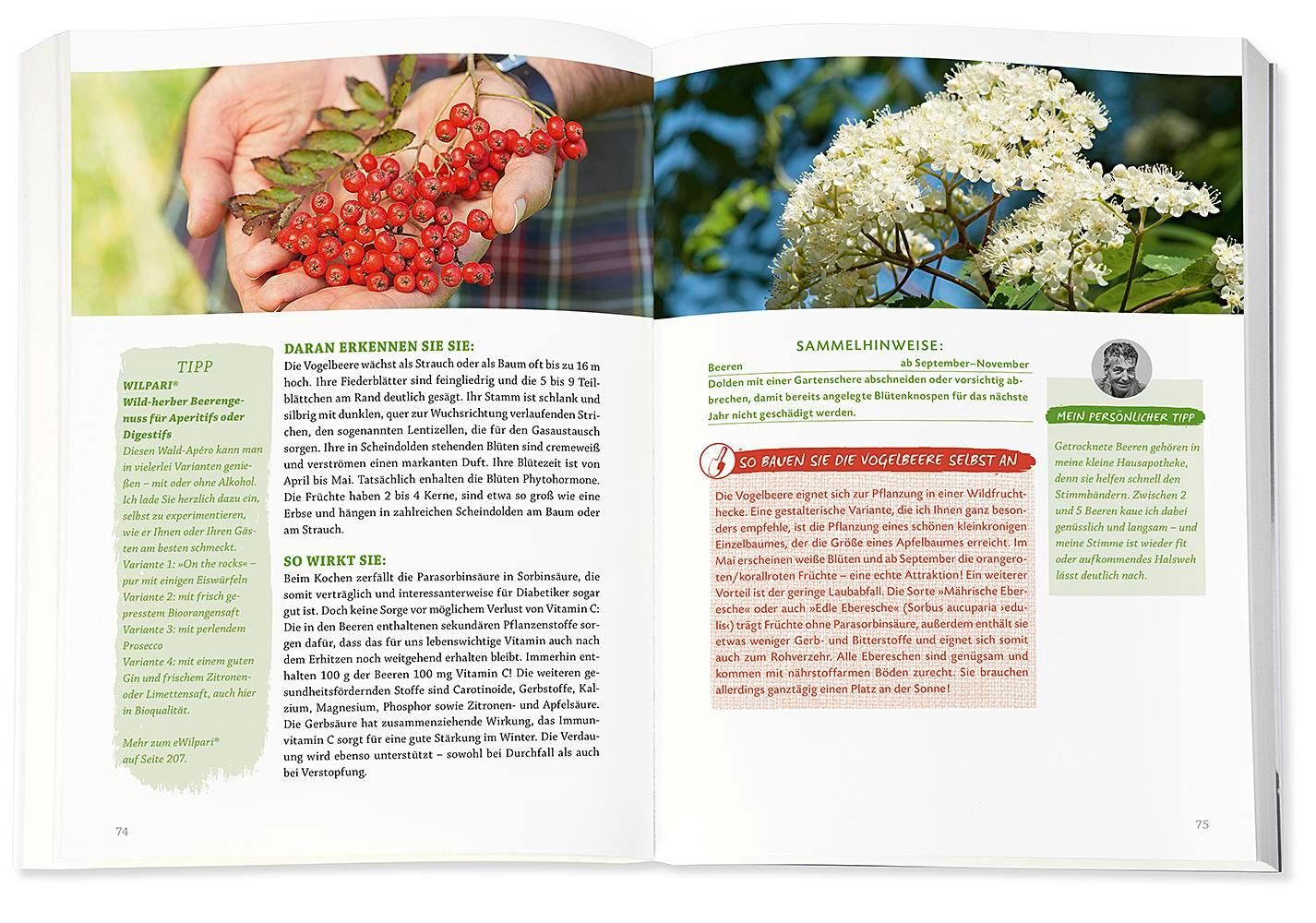 Buch, offene Doppelseite. Text und Bilder. Auf der linken Seite ein Foto von Händen mit Vogelbeeren. Auf der rechten Seite Blüten.