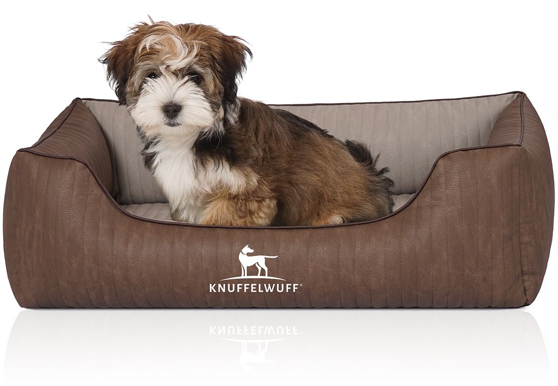 Hundebett Outlander, braun, mit Hund. Rechteckige Form, erhöhte Seiten, gesteppte Liegefläche. Logo Knuffelwuff.