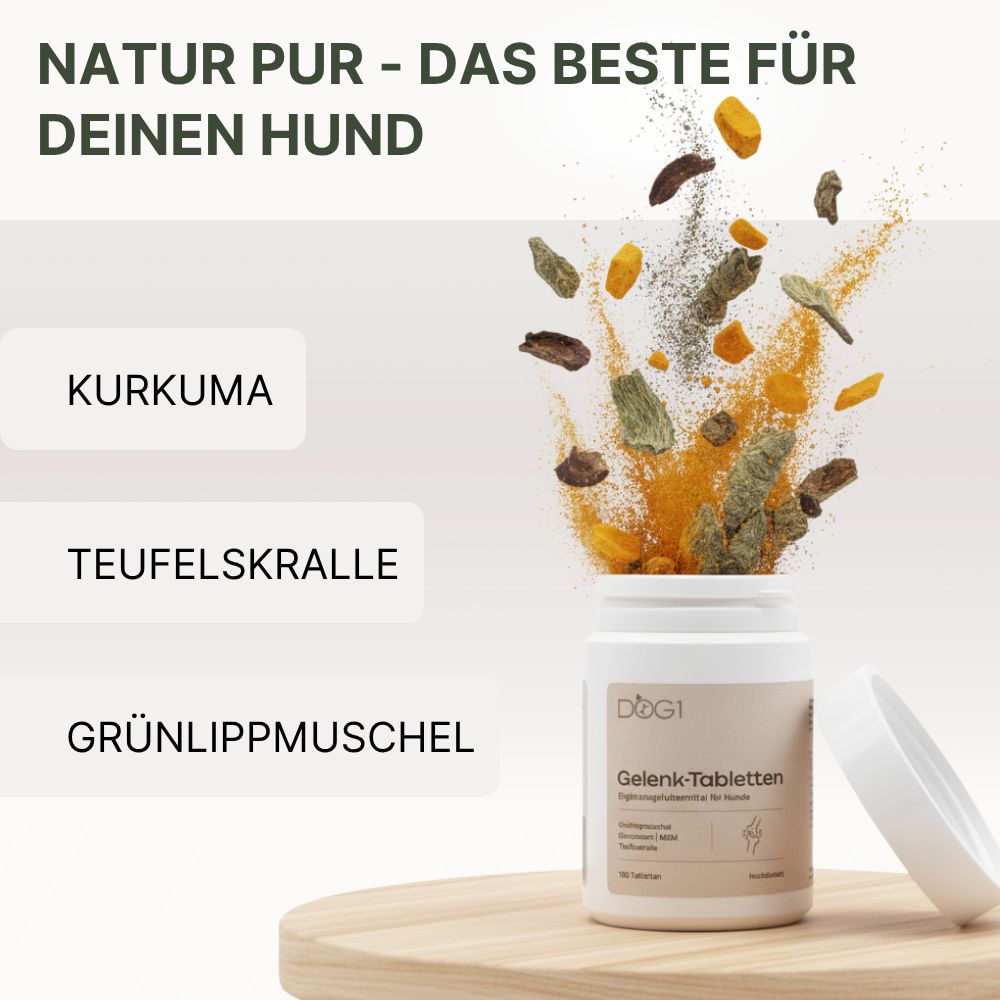 Geöffnete Dose mit Tabletten und Zutaten. Text: "NATUR PUR - DAS BESTE FÜR DEINEN HUND". Zutaten: Kurkuma, Teufelskralle, Grünlippmuschel.