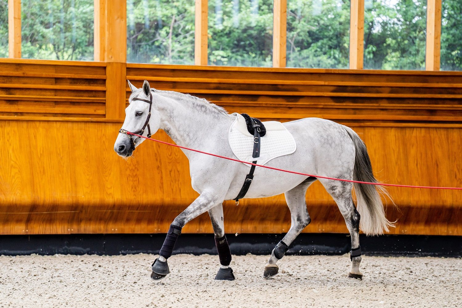 Horseware Micklem® 2 Multi Bridle
