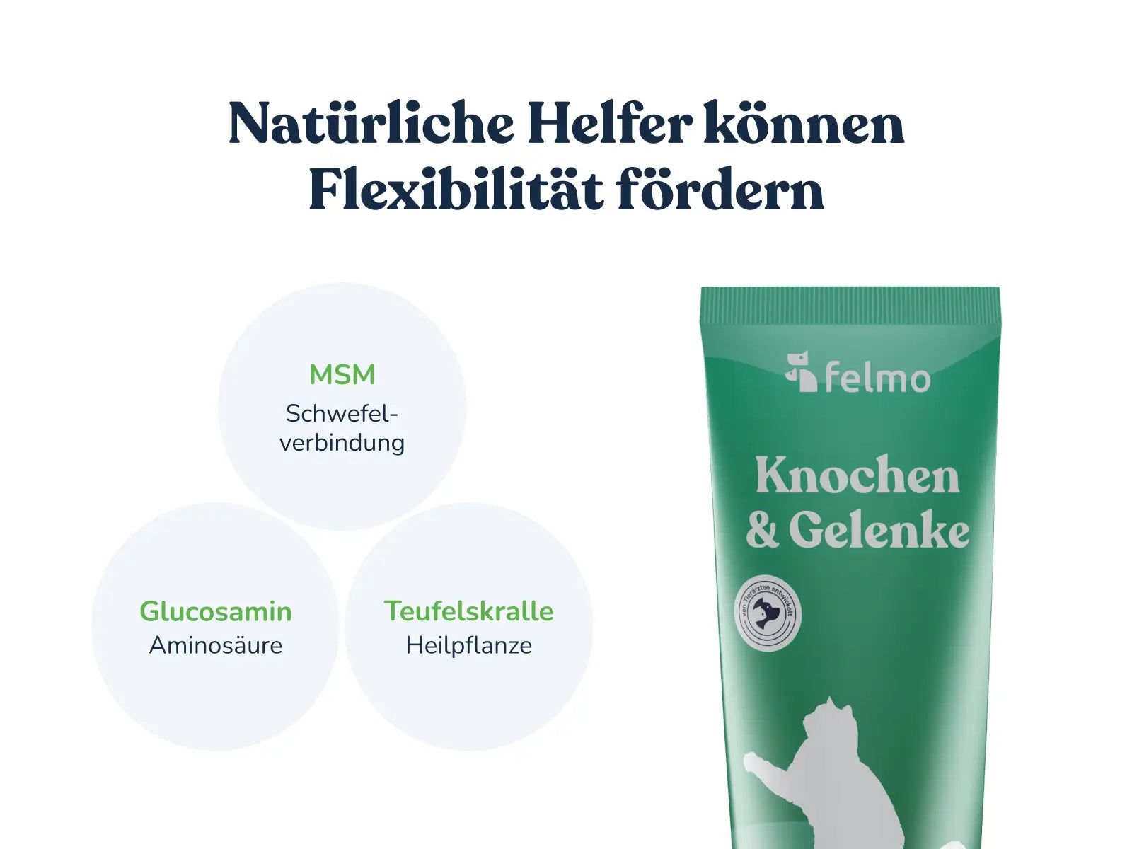 felmo Knochen- & Gelenk-Paste für Katzen