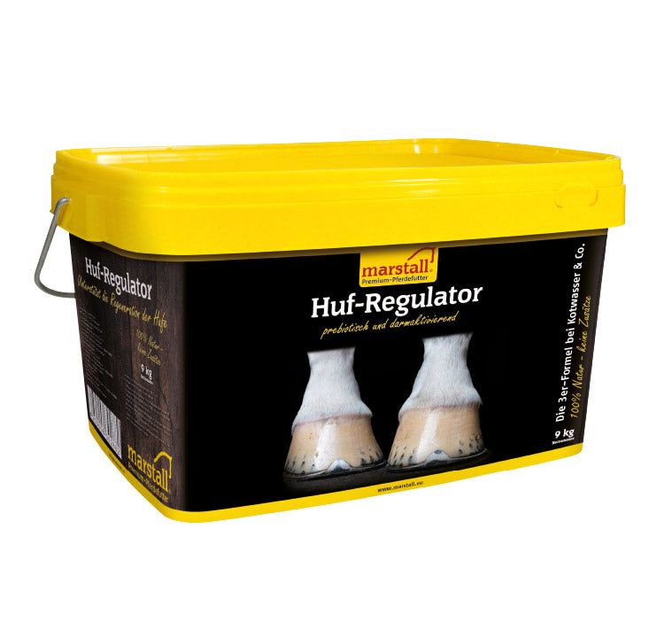 Marstall Huf-Regulator