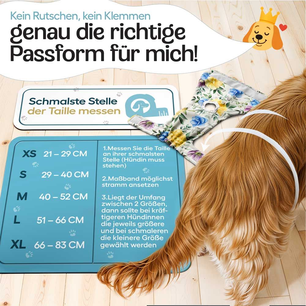 Größentabelle für Windeln. XS bis XL. Messanleitung für die Taille. Hund.