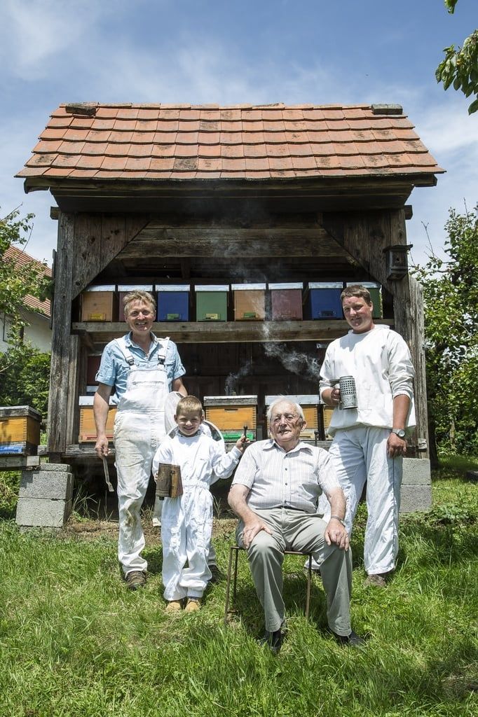 Vier Männer und ein Junge vor Bienenhaus. Imkerkleidung, Bienenkästen, Rauch. Älterer Mann sitzt, andere stehen.