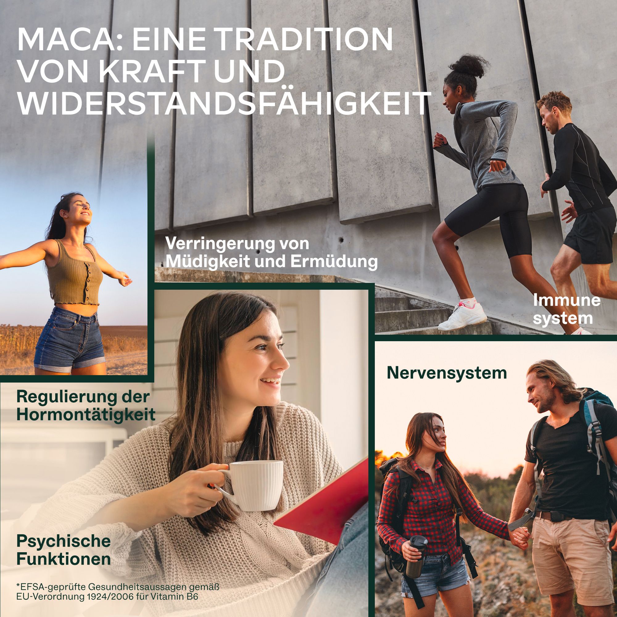 Flasche mit Maca-Kapseln, Rückseite mit Nährwertangaben und Sprachsymbolen.