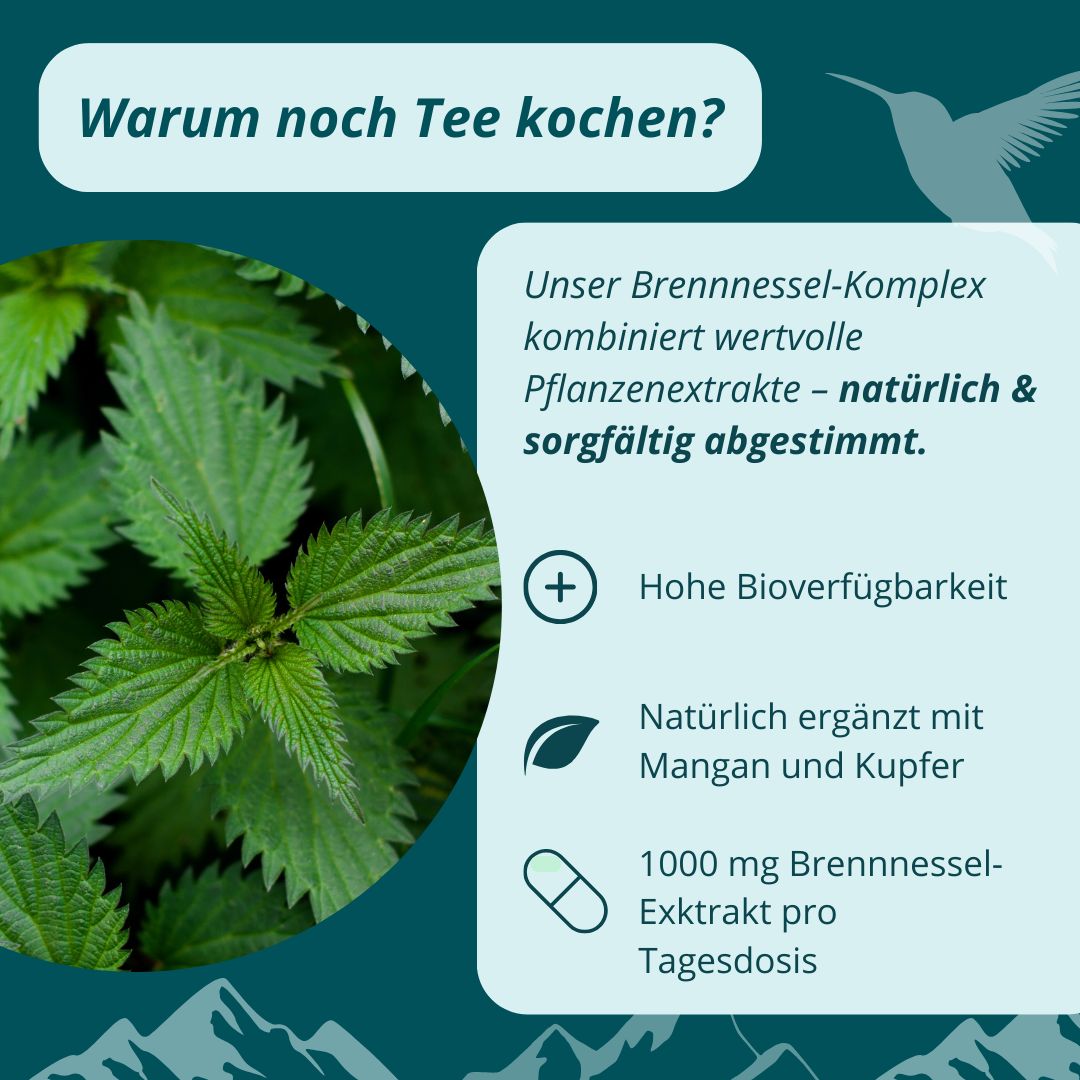 Grüne Blätter und Text: AVARIA CARE Brennnessel-Komplex kombiniert Pflanzenextrakte. Grafiken: hohe Bioverfügbarkeit, mit Mangan und Kupfer, 1000 mg Brennnesselextrakt.