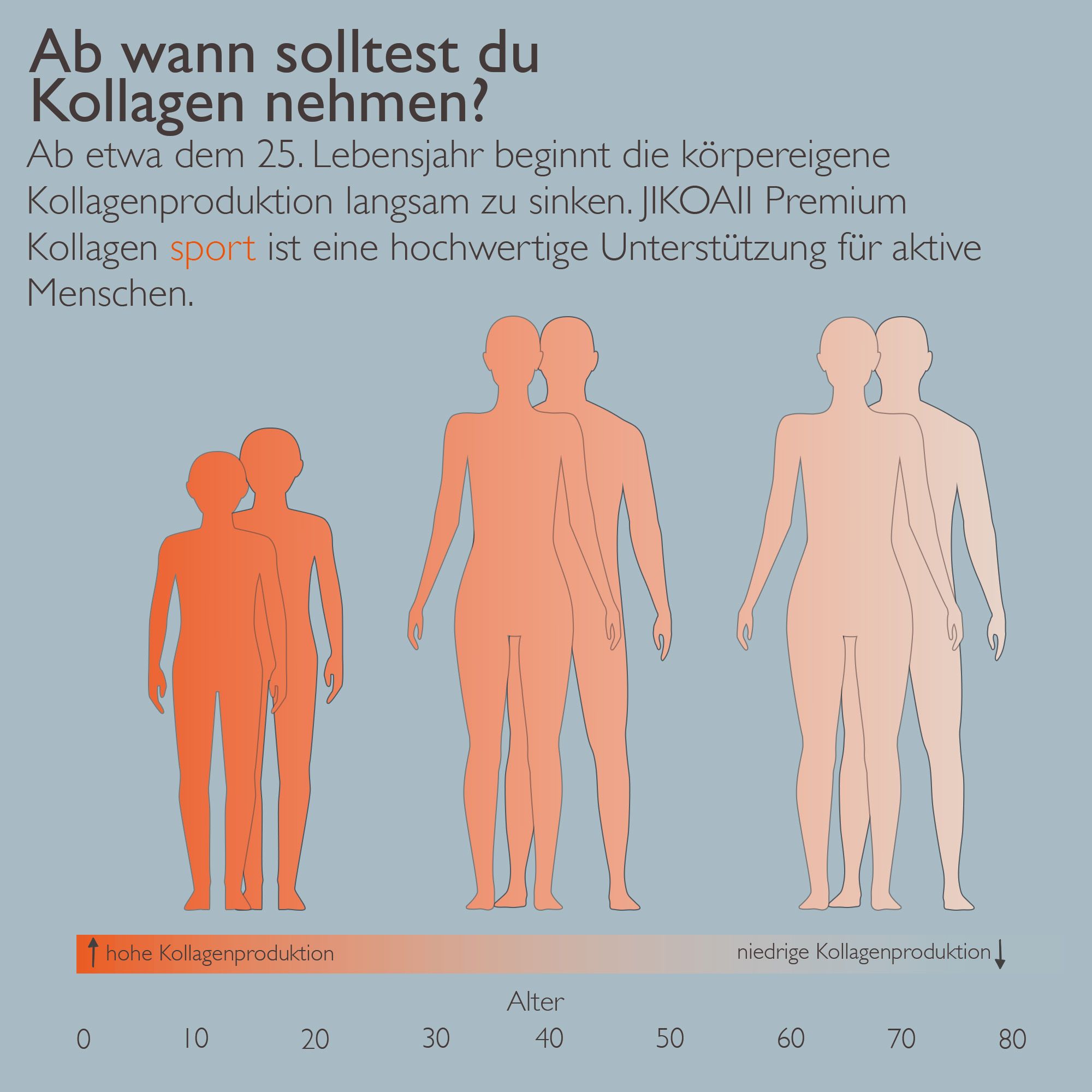 Grafik zur Kollagenproduktion. Altersstufen, hohe und niedrige Kollagenproduktion. JIKOAII Kollagen SPORT.