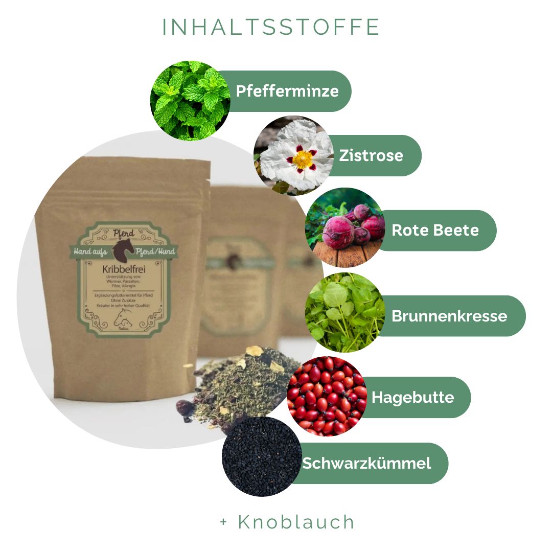 Braune Tüte mit Etikett, Kräutermischung daneben. Grafische Darstellung von Inhaltsstoffen: Pfefferminze, Zistrose, Rote Beete, etc.