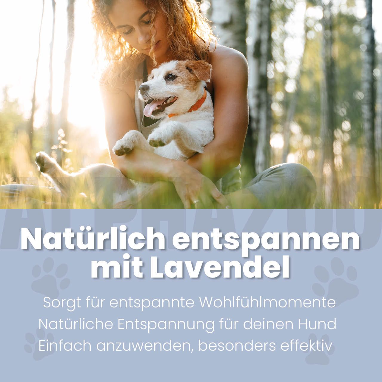 alphazoo Lavellness Fellspray für Hunde – Lavendel und Sheabutter
