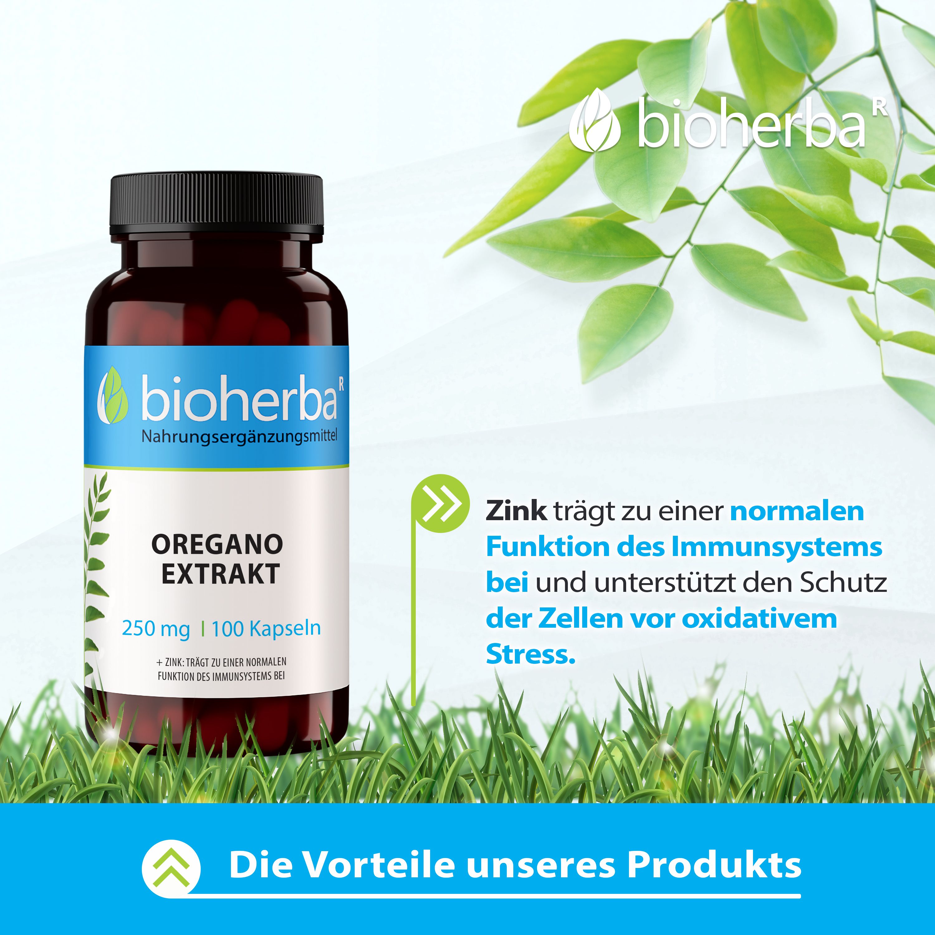 Bioherba Oregano Extrakt Kapseln