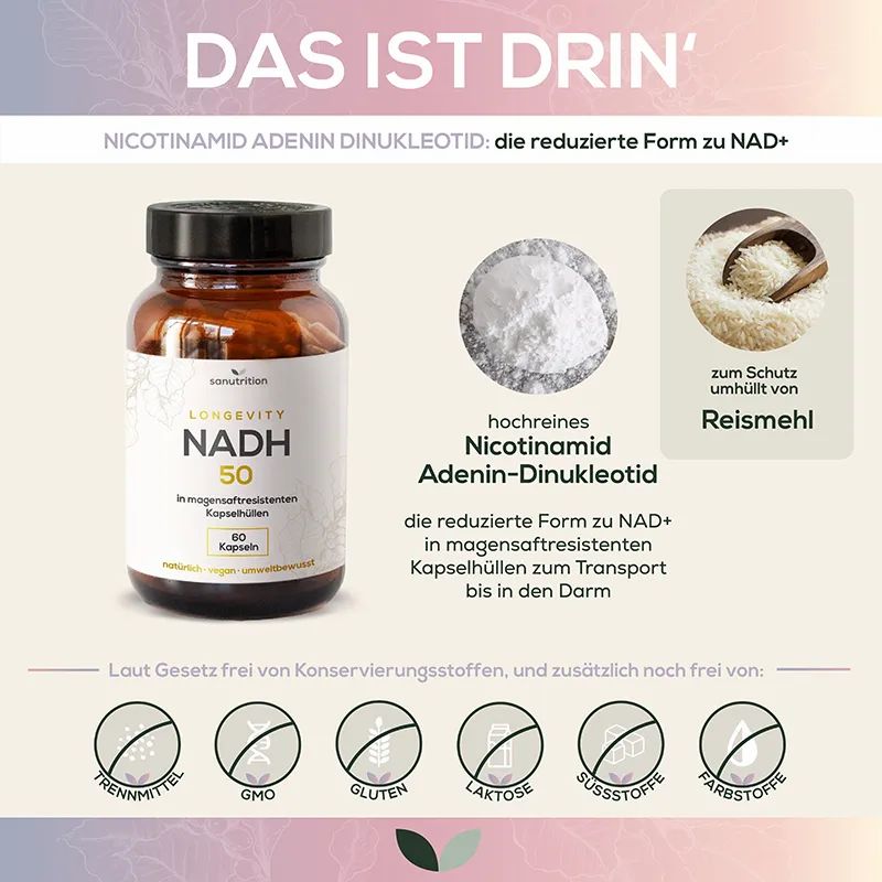 Sanutrition NADH 50 mg: Flasche, Pulver und Erklärung der reduzierten Form von NAD+.