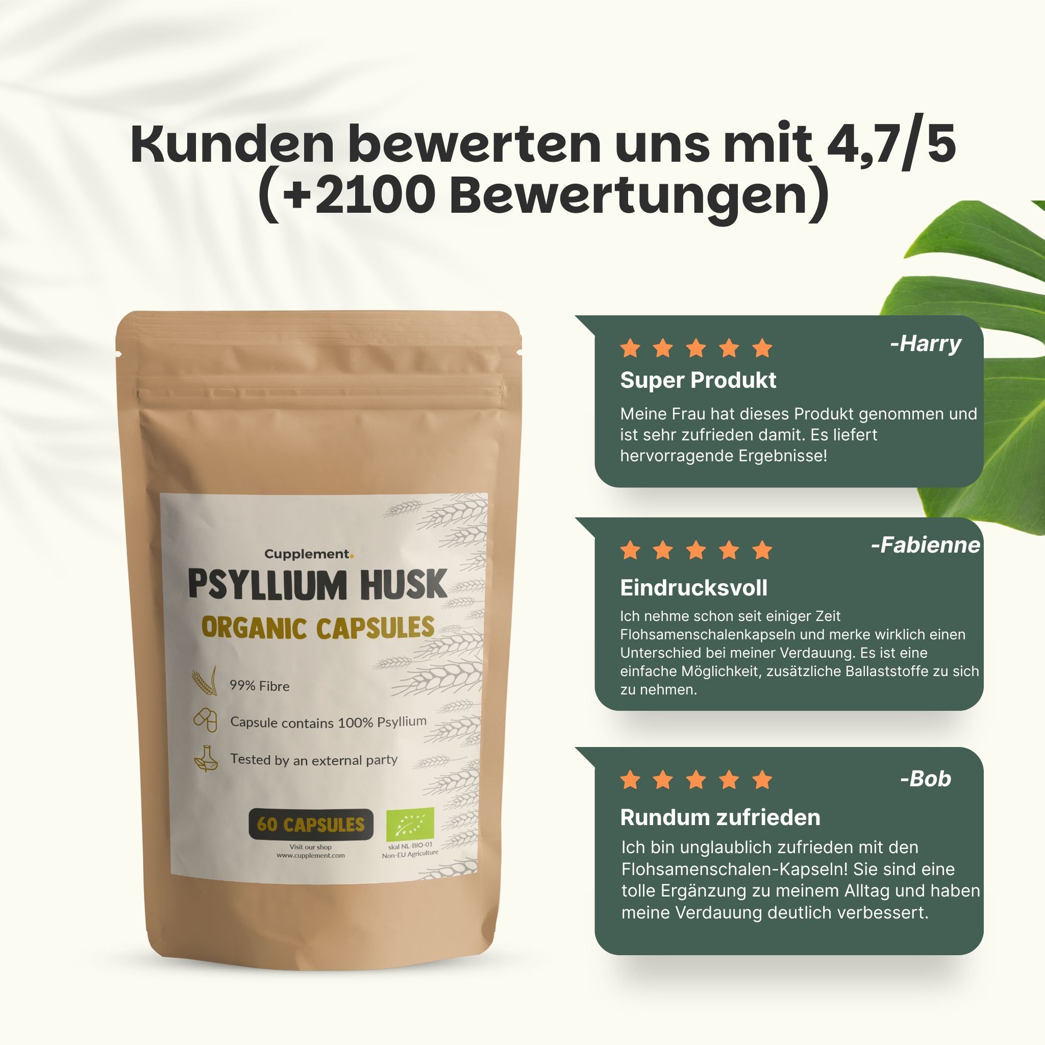 Beutel mit Psyllium Husk Kapseln. Text: Organic Capsules, 60 Kapseln, 99% Ballaststoffe.