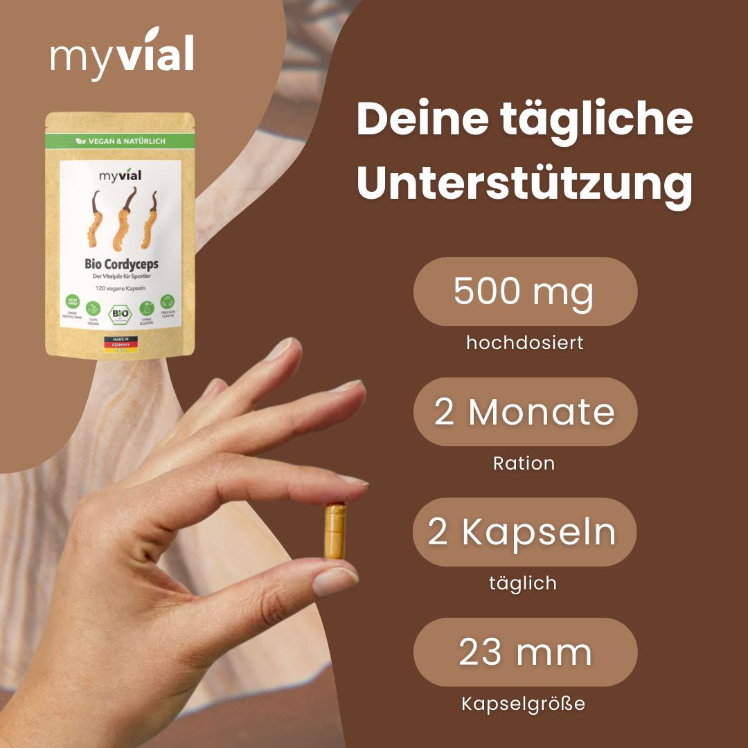 myvial® Bio Cordyceps Kapseln - 120 Stück aus reinem Fruchtkörper - vegan & plastikfrei