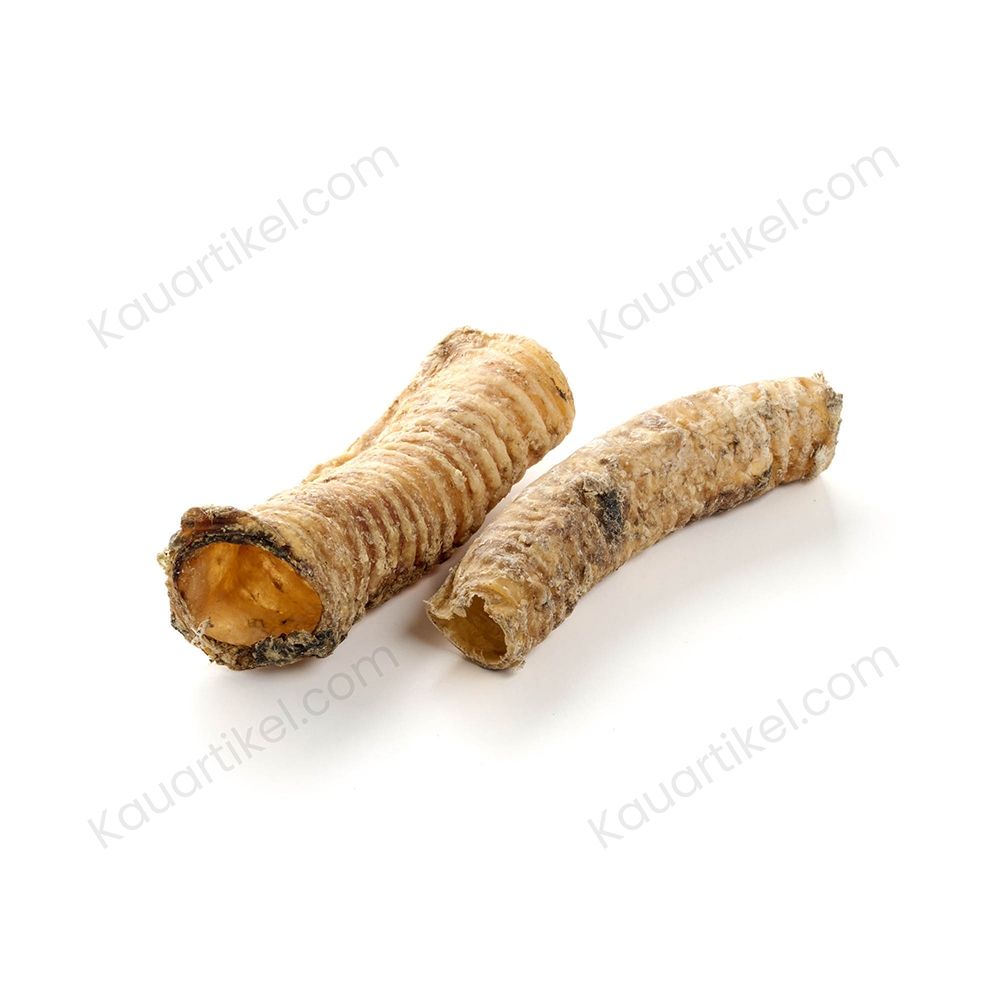 Zwei getrocknete Kamel-Strossen, als proteinreich, 100% Kamel, hypoallergen und gut verträglich, sowie zur natürlichen Zahnreinigung.