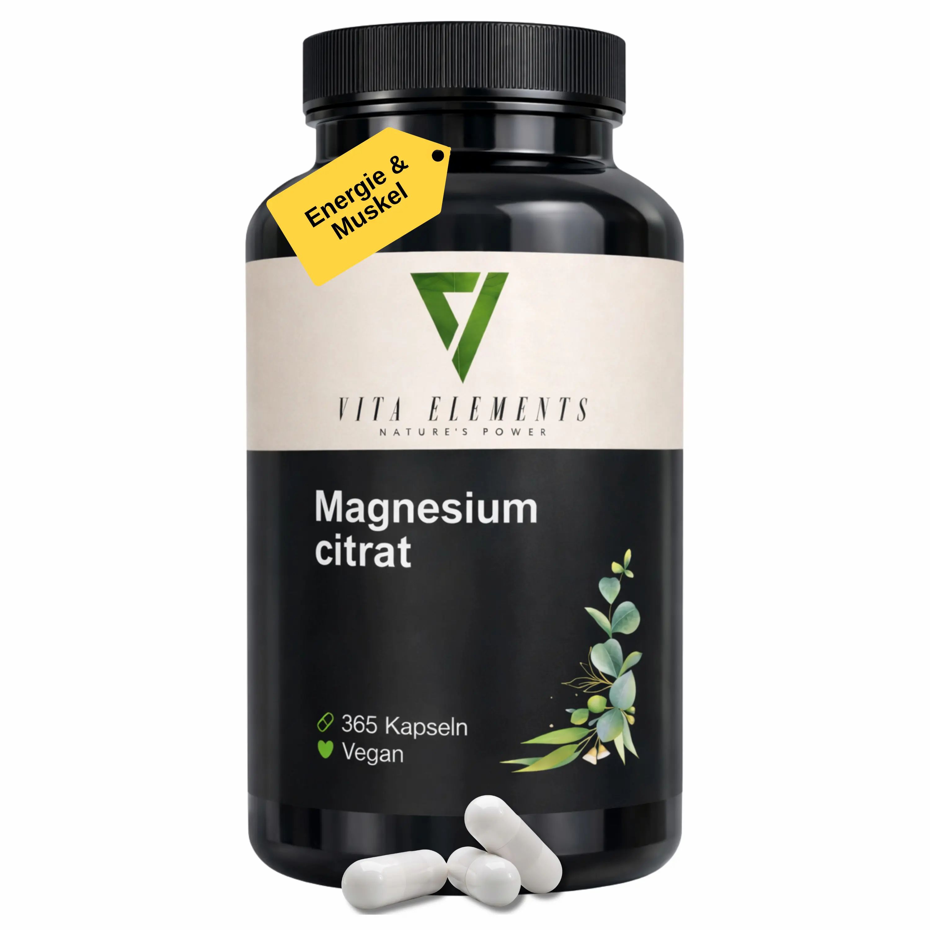 Vita Elements Magnesiumcitrat Kapseln 365 g