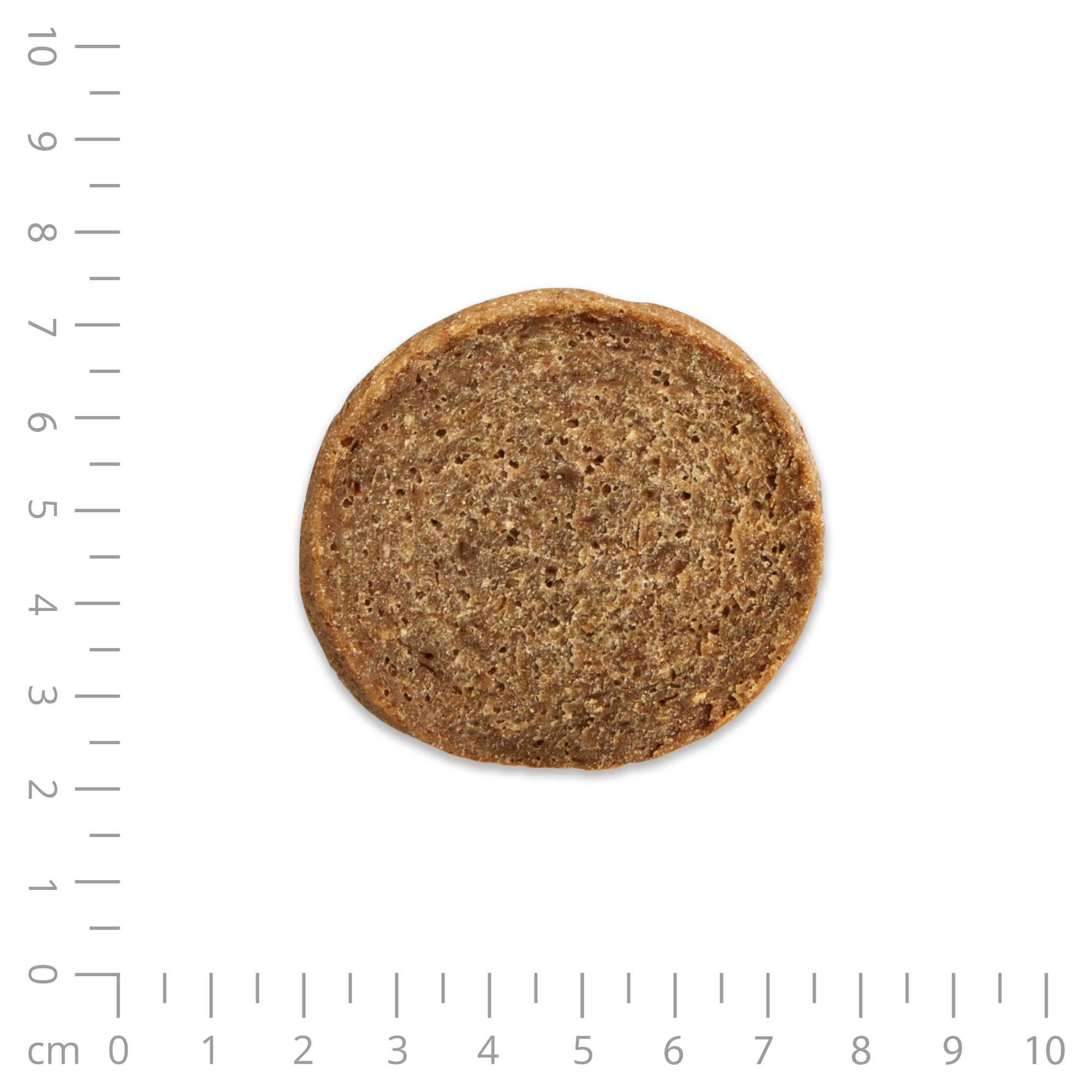 Ein einzelner Chipies Lamm, krosse Fleisch-Chips-Taler für Hunde, mit Maßstab.
