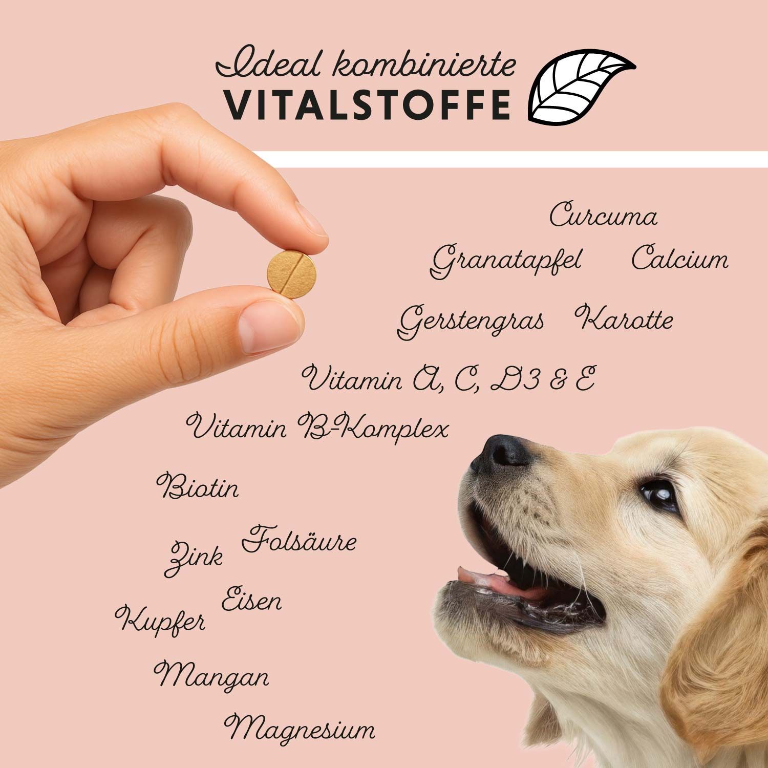 Annimally Dog‘s Daily Junior