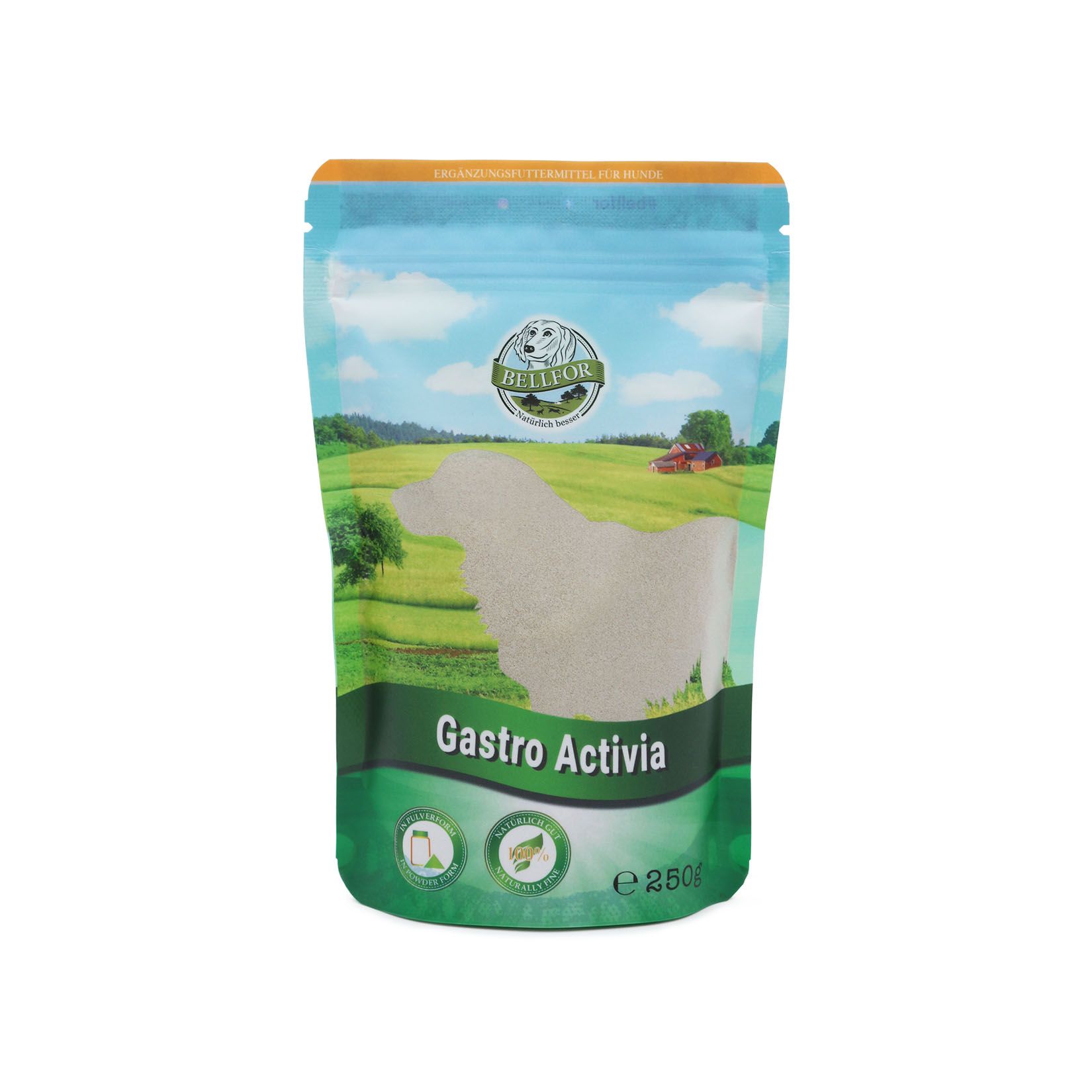Bellfor Gastro Activia Pulver