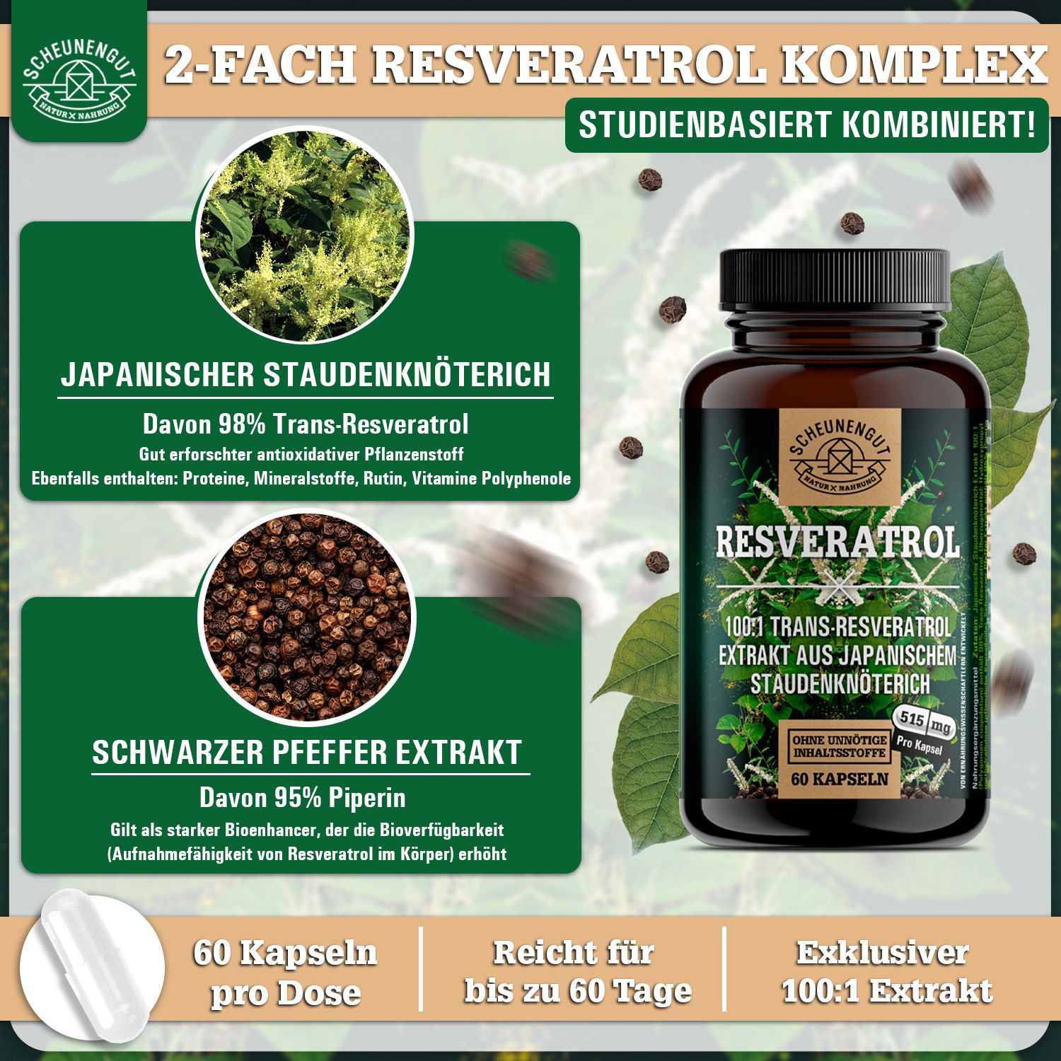 Scheunengut® Resveratrol | Der Original 100:1 Trans-Resveratrol Extrakt optimiert mit Piperin