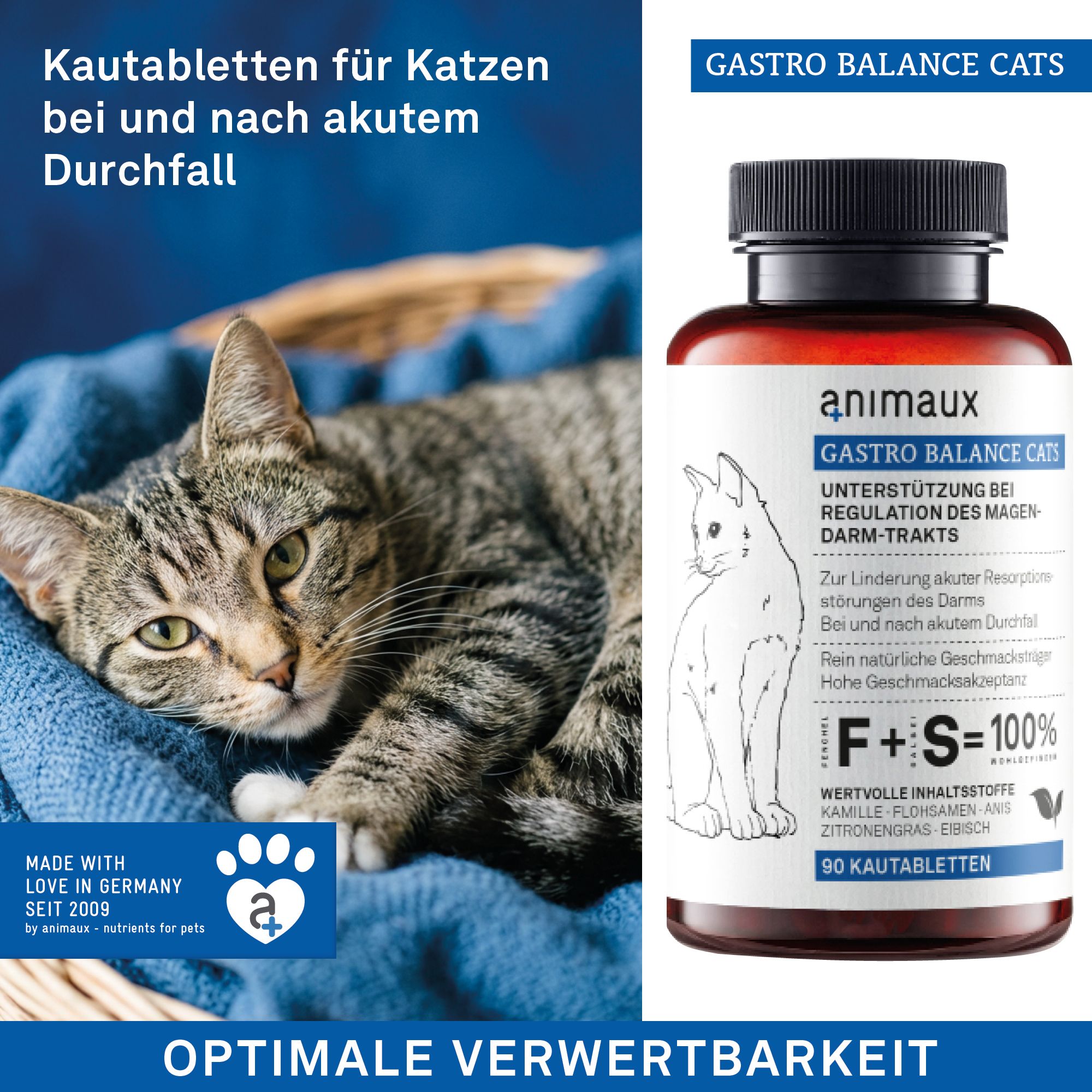 Flasche GASTRO BALANCE CATS neben einer Katze auf einer blauen Decke. "Made in Germany" Logo sichtbar.