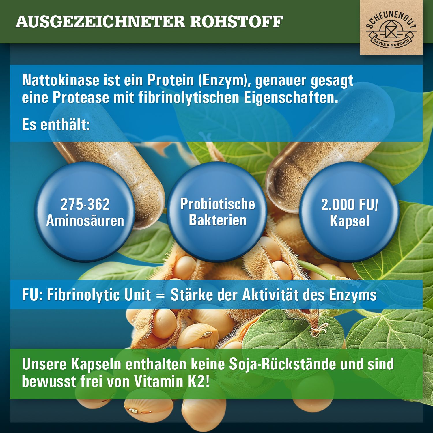 Scheunengut® Nattokinase 20.000 FU/g | pflanzliche Fermentation, 100% rein & vegan