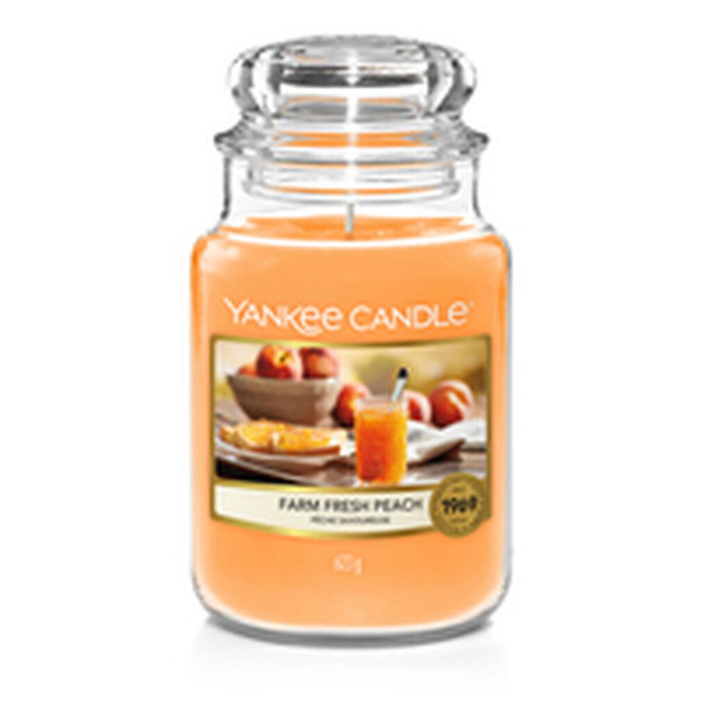 Duftkerze mit Deckel. Aufkleber mit Pfirsich-Motiv und Schriftzug. Aufschrift: Yankee Candle, Farm Fresh Peach, 623g.