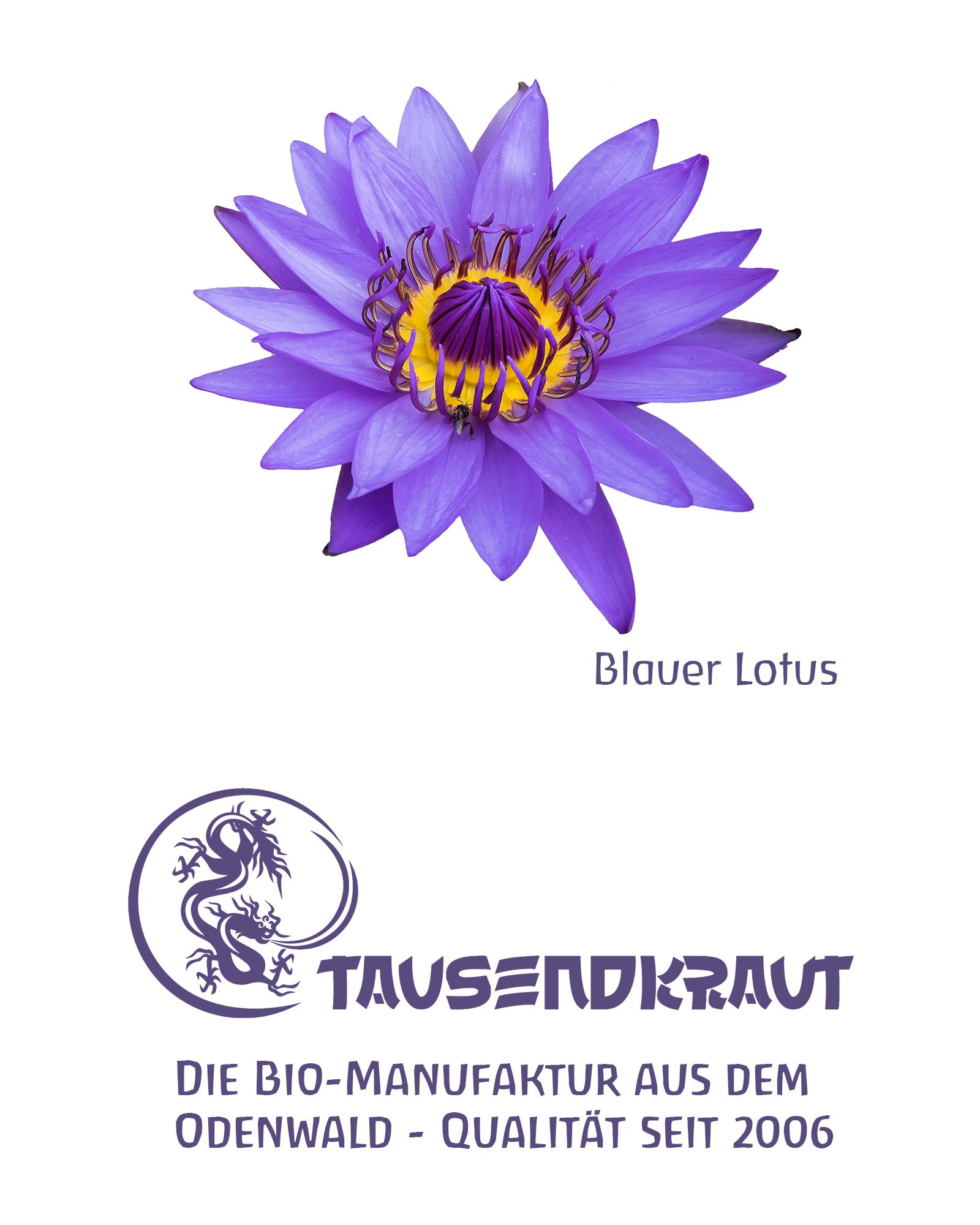 Blauer Lotus-Blüte, lila Blütenblätter, gelbes Zentrum. Darunter Logo: Tausendkraut. Text: Die Bio-Manufaktur aus dem Odenwald - Qualität seit 2006.