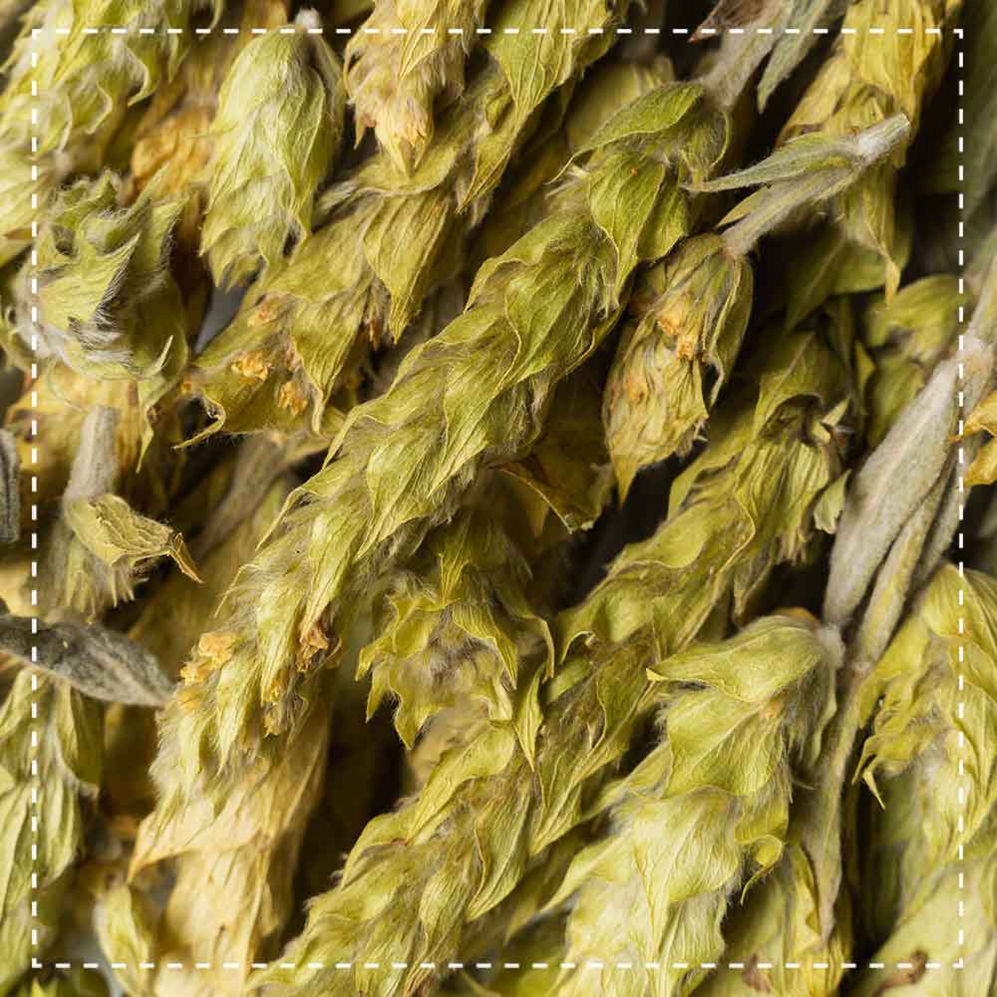 Biotiva Griechischer Bergtee Bio