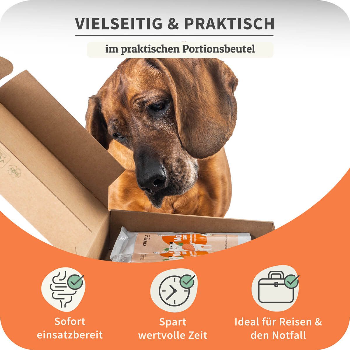 Hund schaut in Karton mit Beuteln. Icons: Verdauung, Zeit, Reise. Text: Im praktischen Portionsbeutel. Ideal für Reisen.