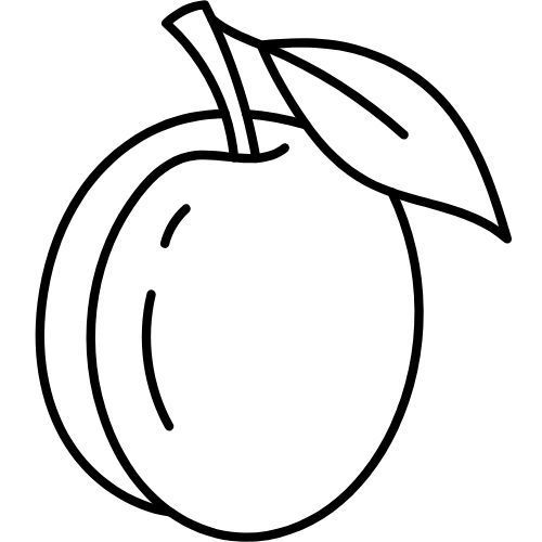 Alteya Organics Pflaumenkernöl 100%