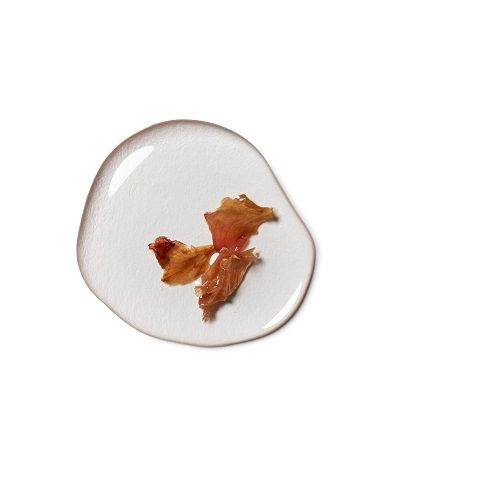 Tropfen klare Flüssigkeit mit Blütenblättern. Auf weißem Hintergrund.