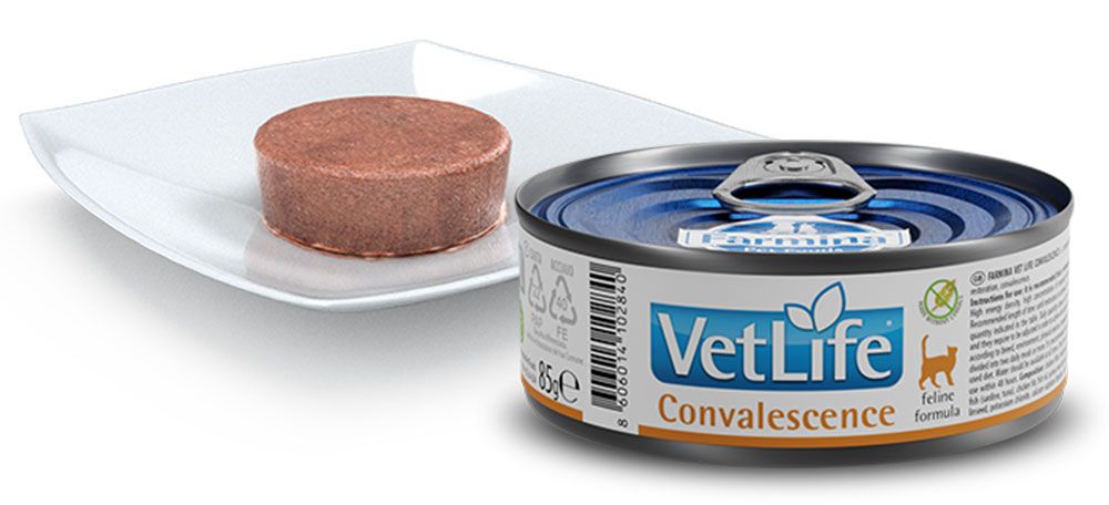 Katzenfutterdose und Futter auf einem Teller. Dose mit "VetLife Convalescence"-Etikett. Futter in runder Form.