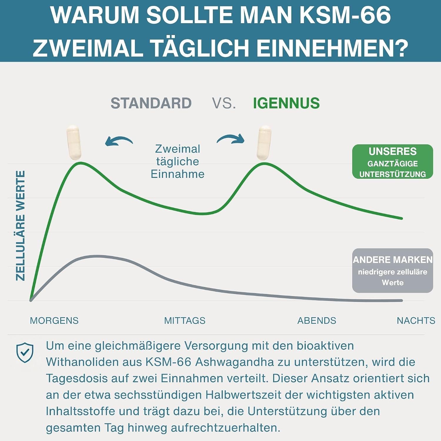 Grafik vergleicht die Zellwerte bei zweifacher täglicher Einnahme von Igennus.